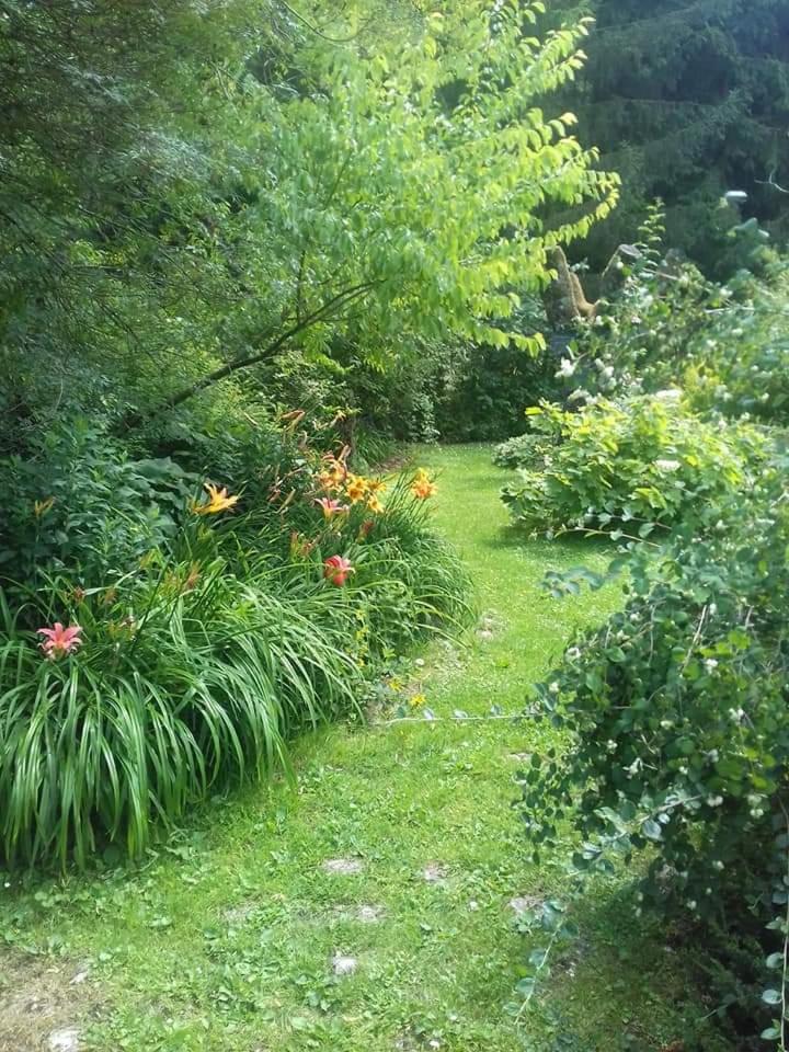 Photo 39