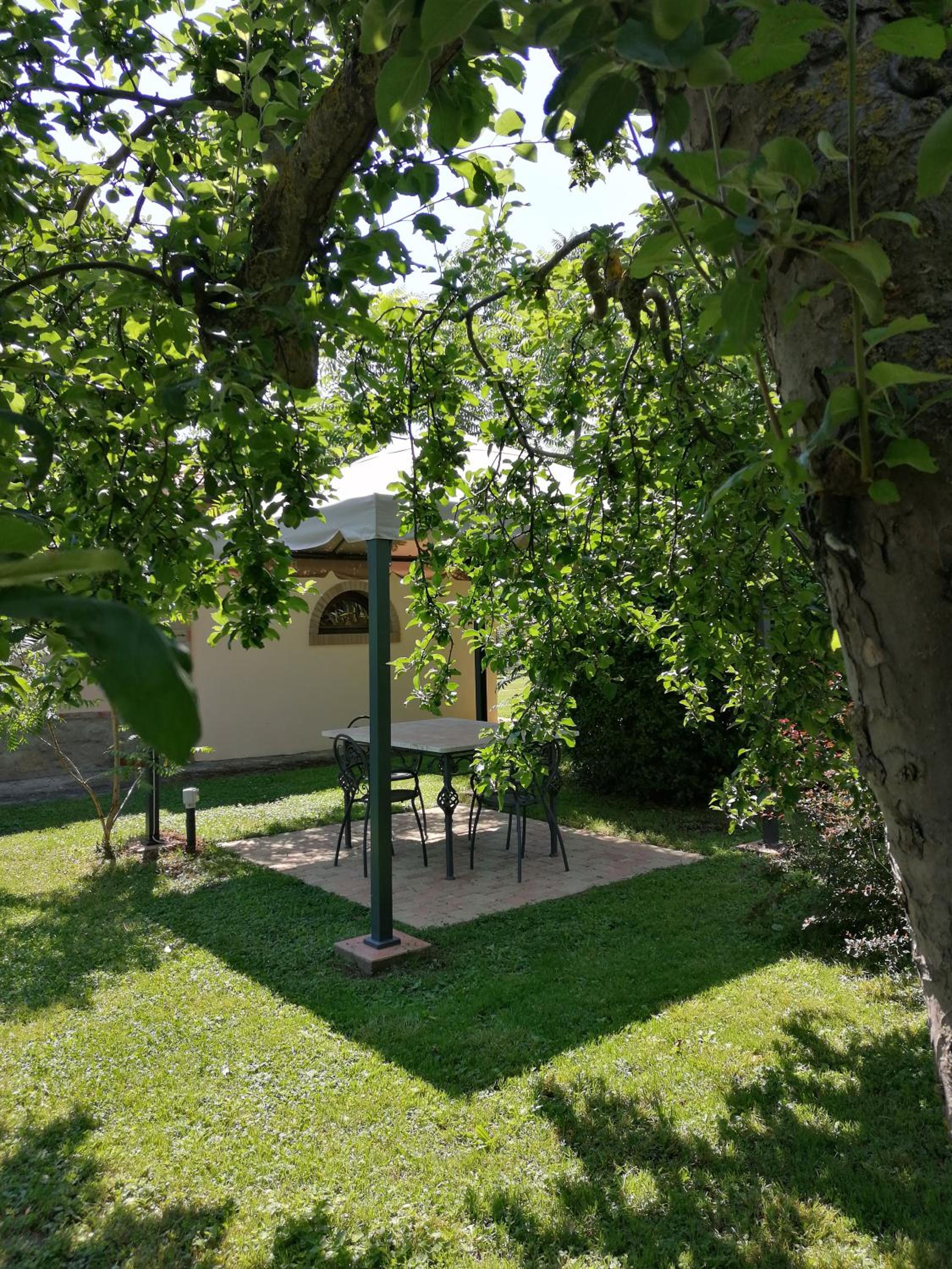 Photo 44