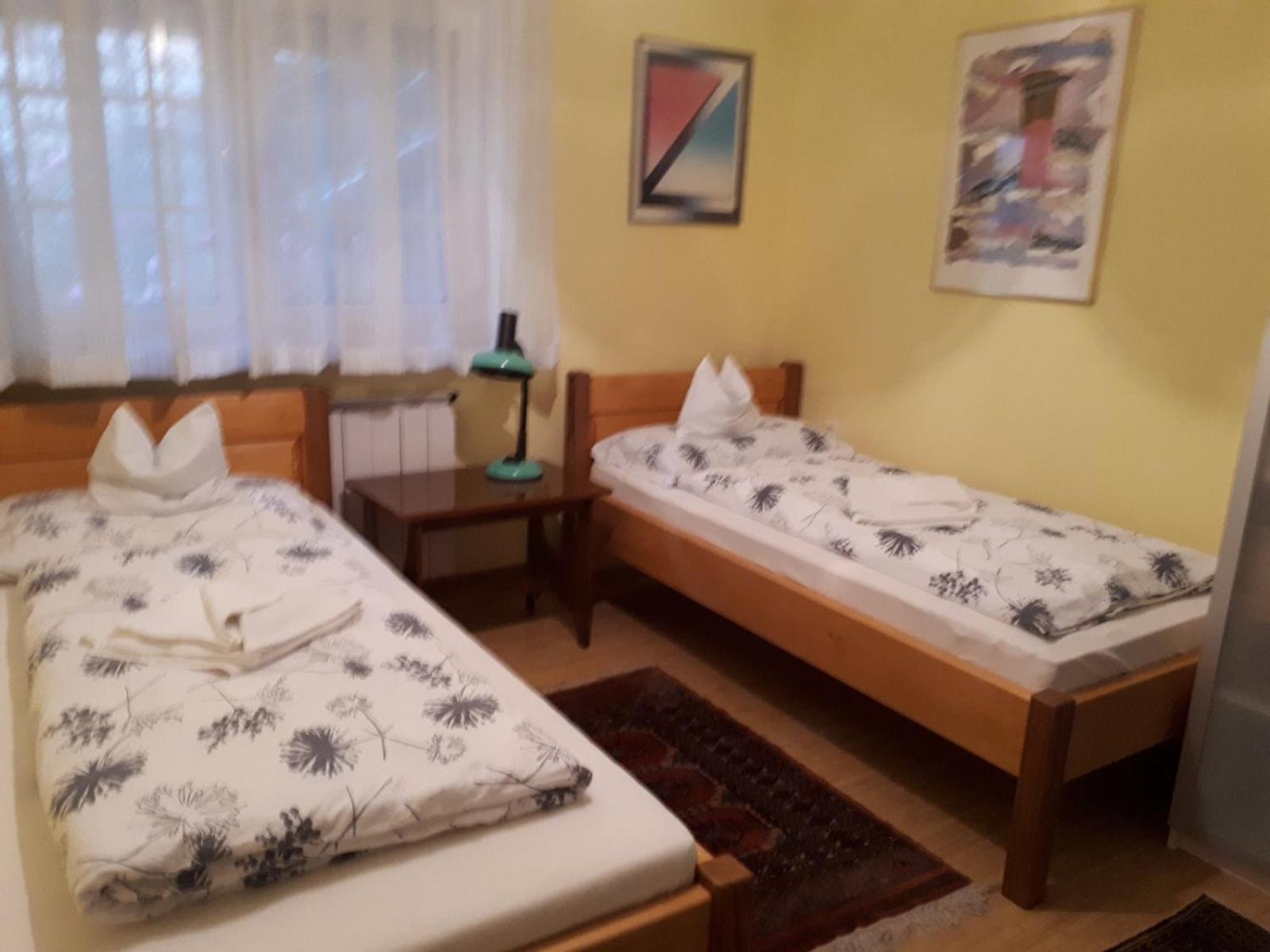 The Pearl of the Danube Bend - Regina Apartman view 3