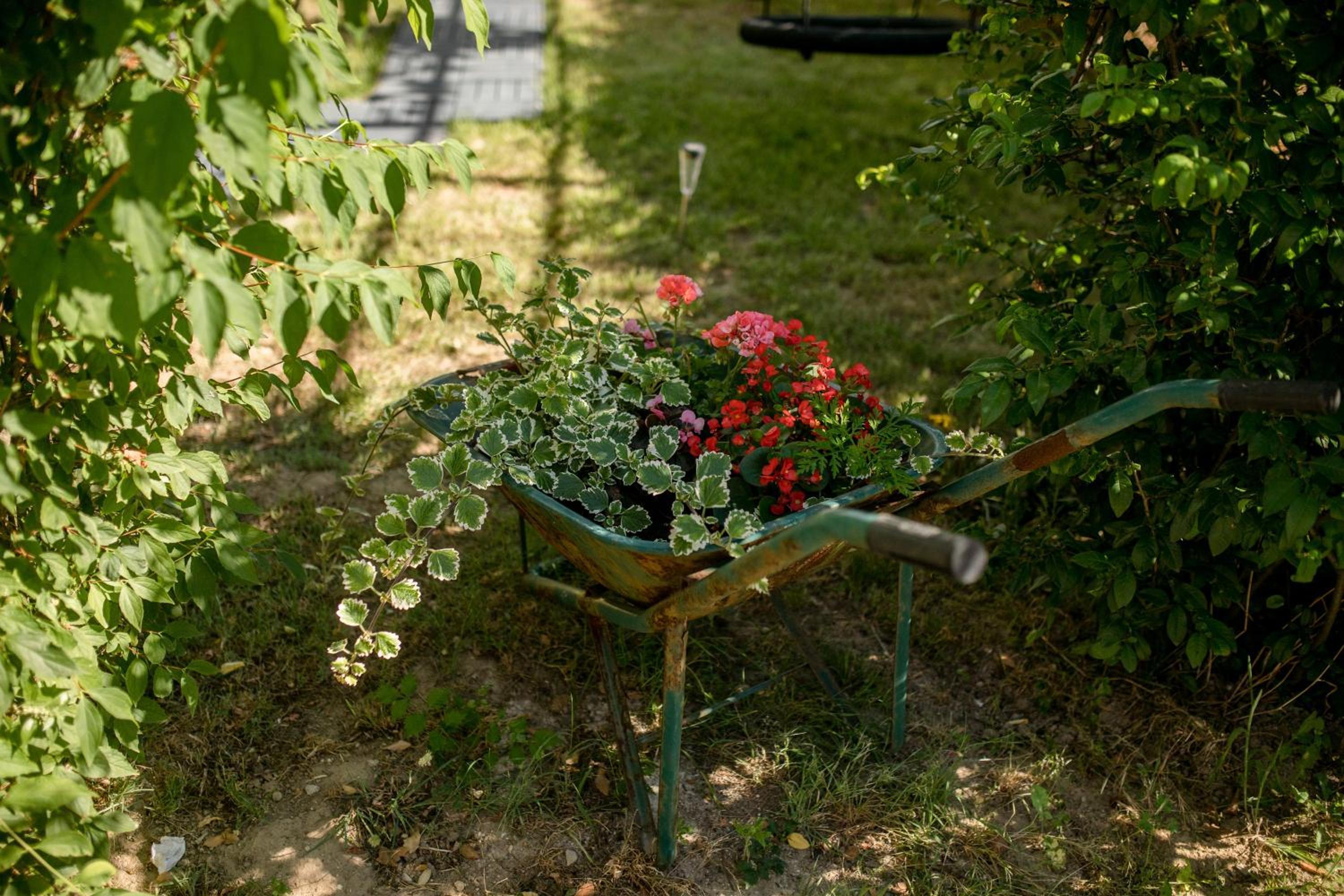 Photo 47