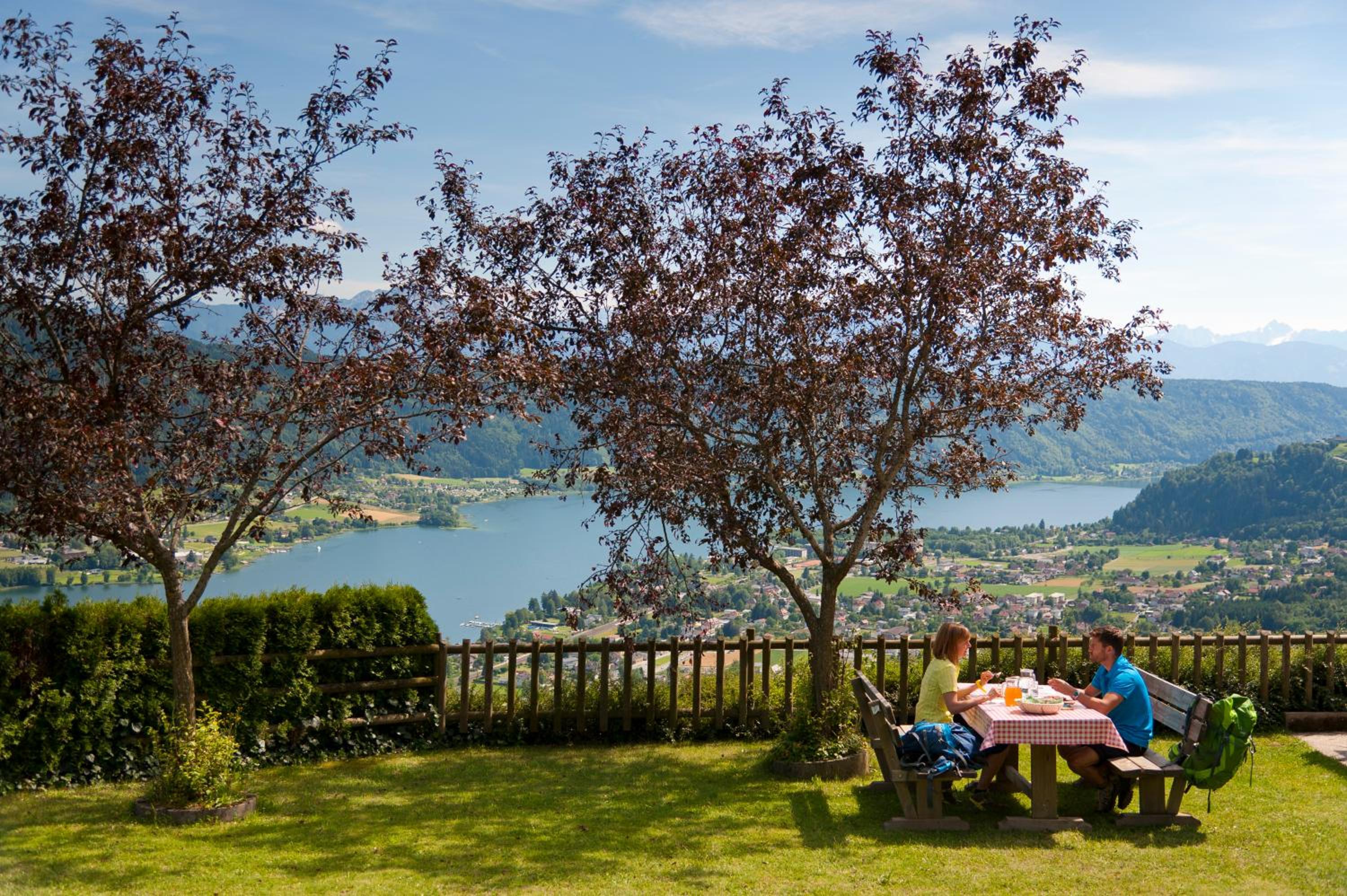 APARTMENT WALD - im Skigebiet Gerlitzen & Ossiacher See
