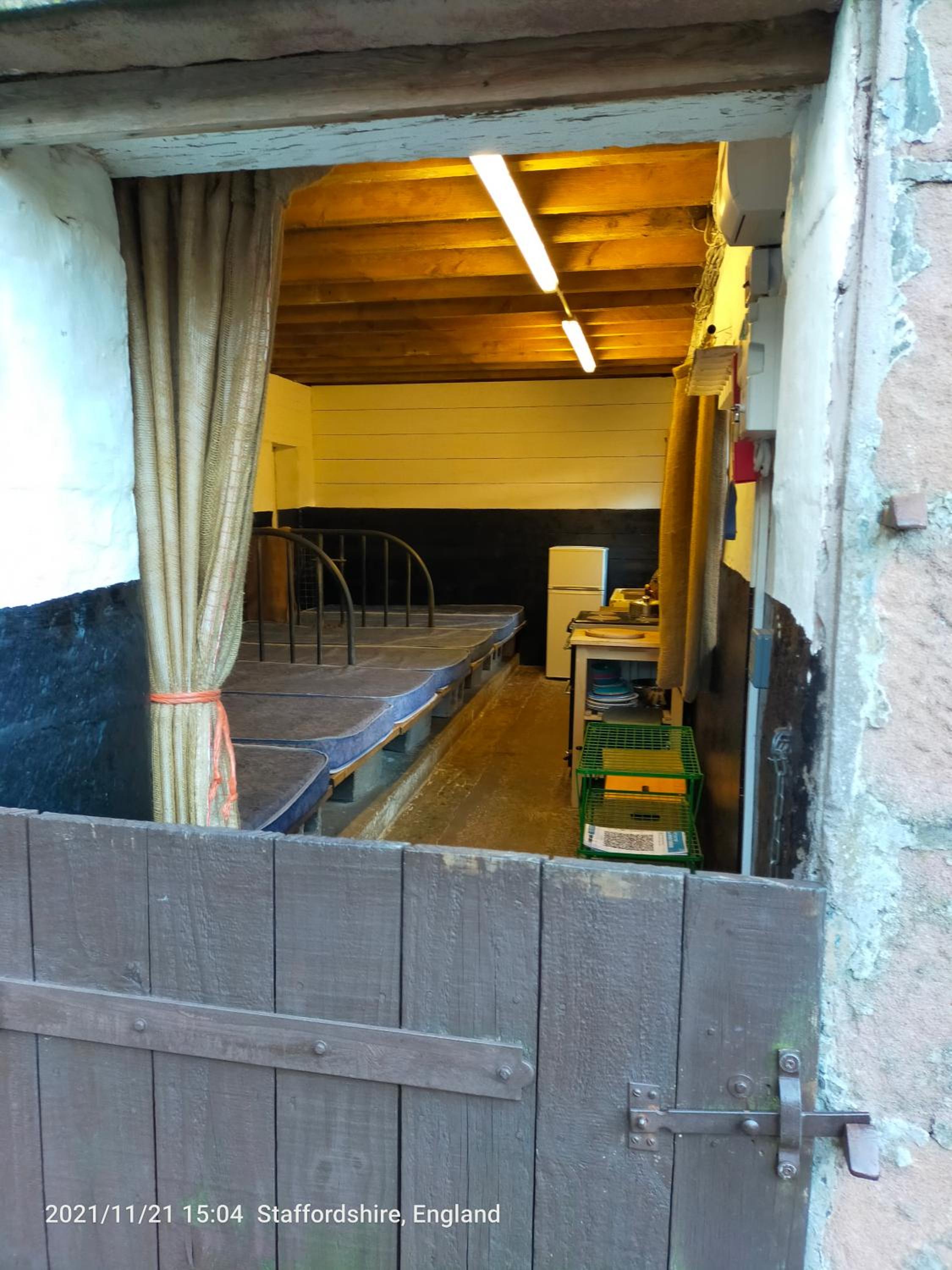 Photo 11