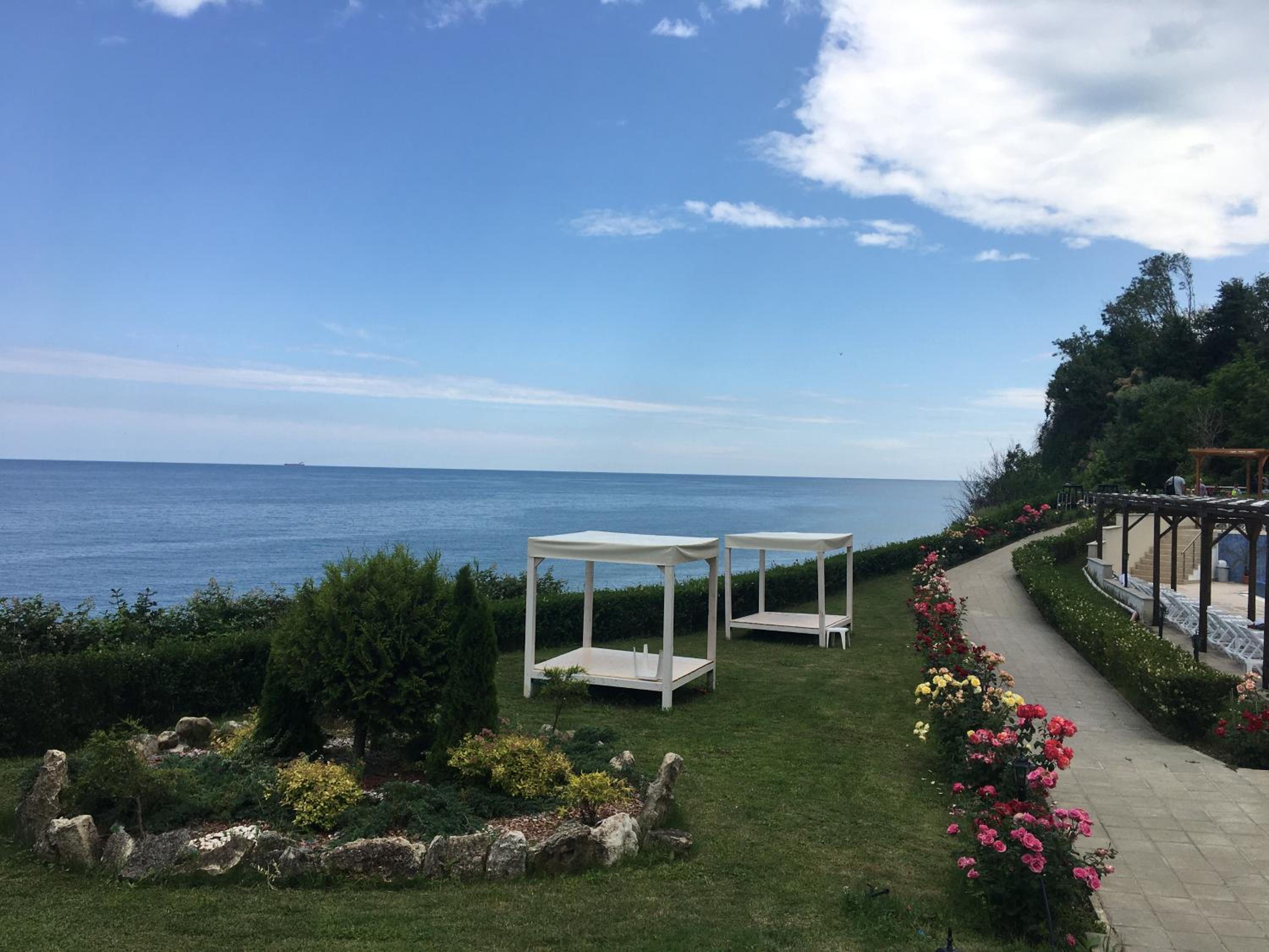 Byala Cliff Forest view 2
