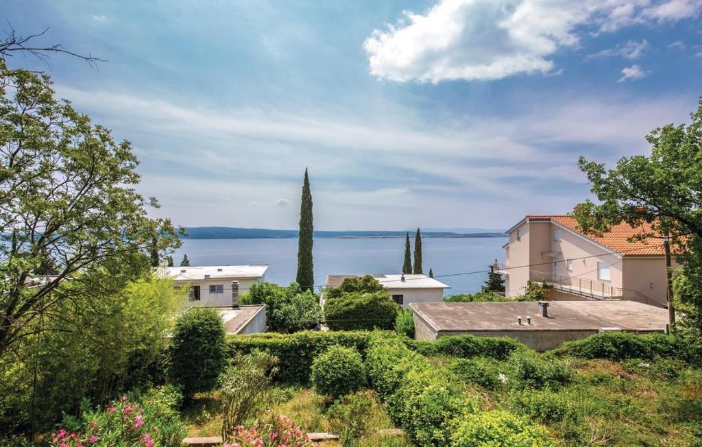 BRASNOVIC view 3