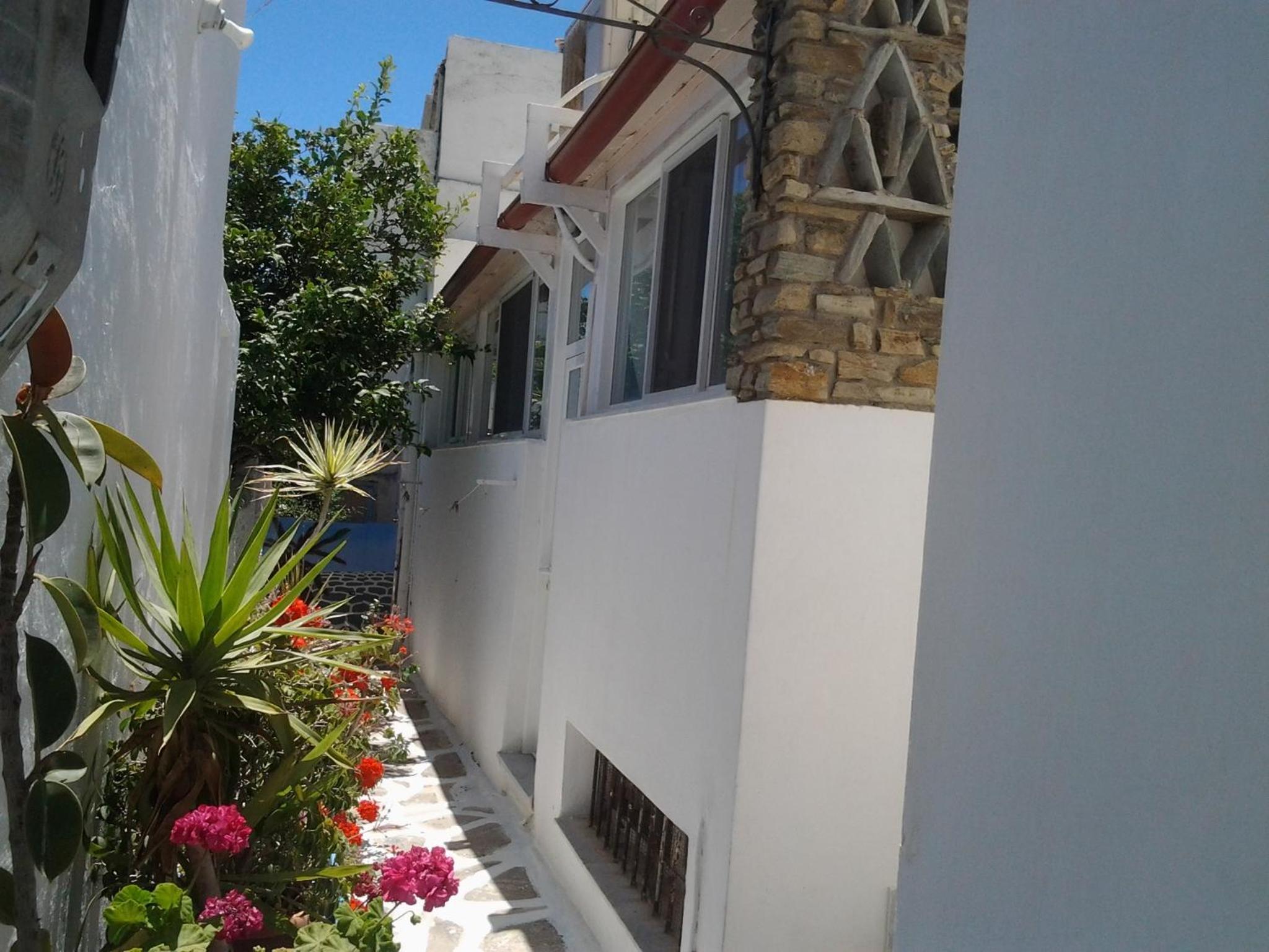 Noe Rooms