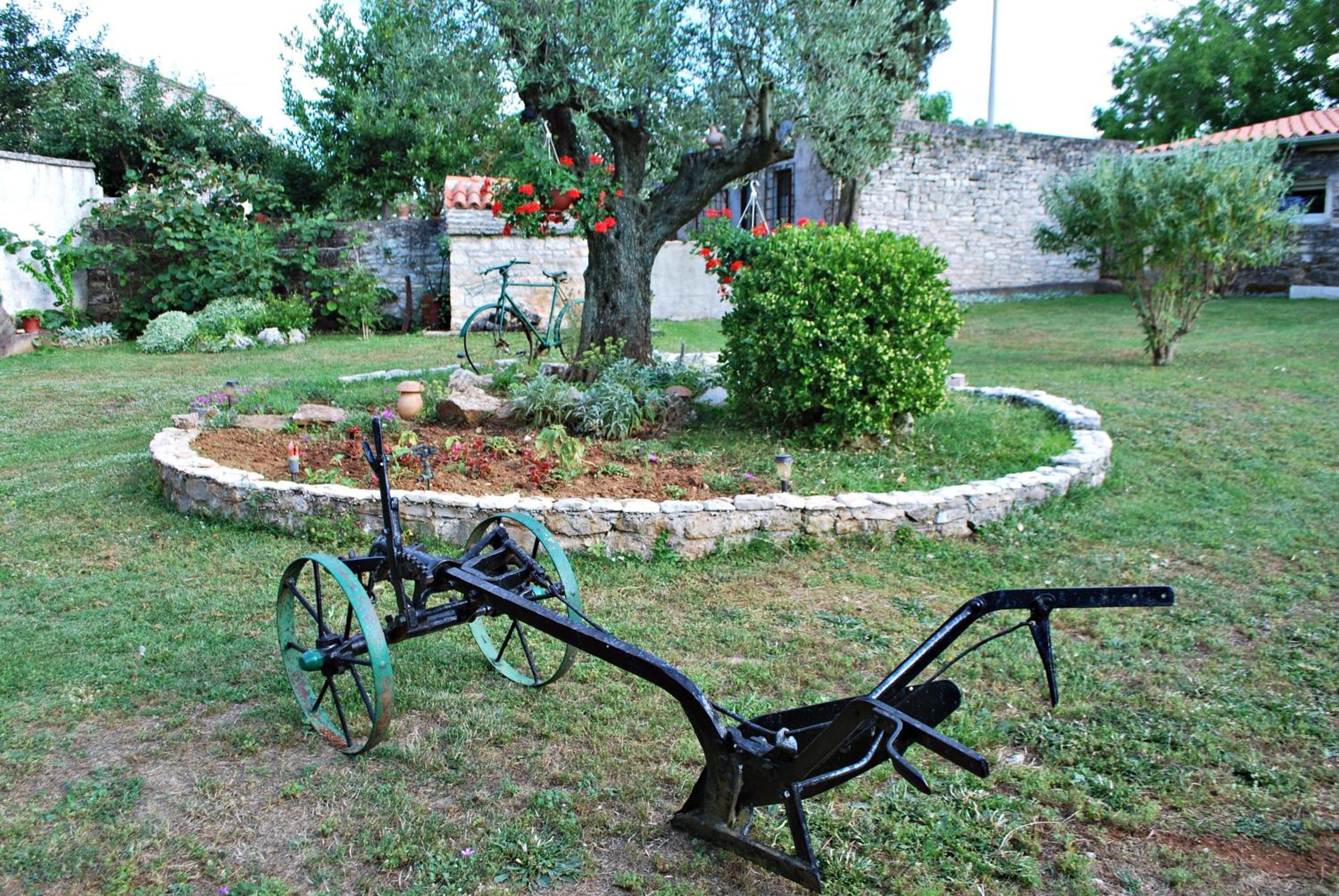 Photo 6