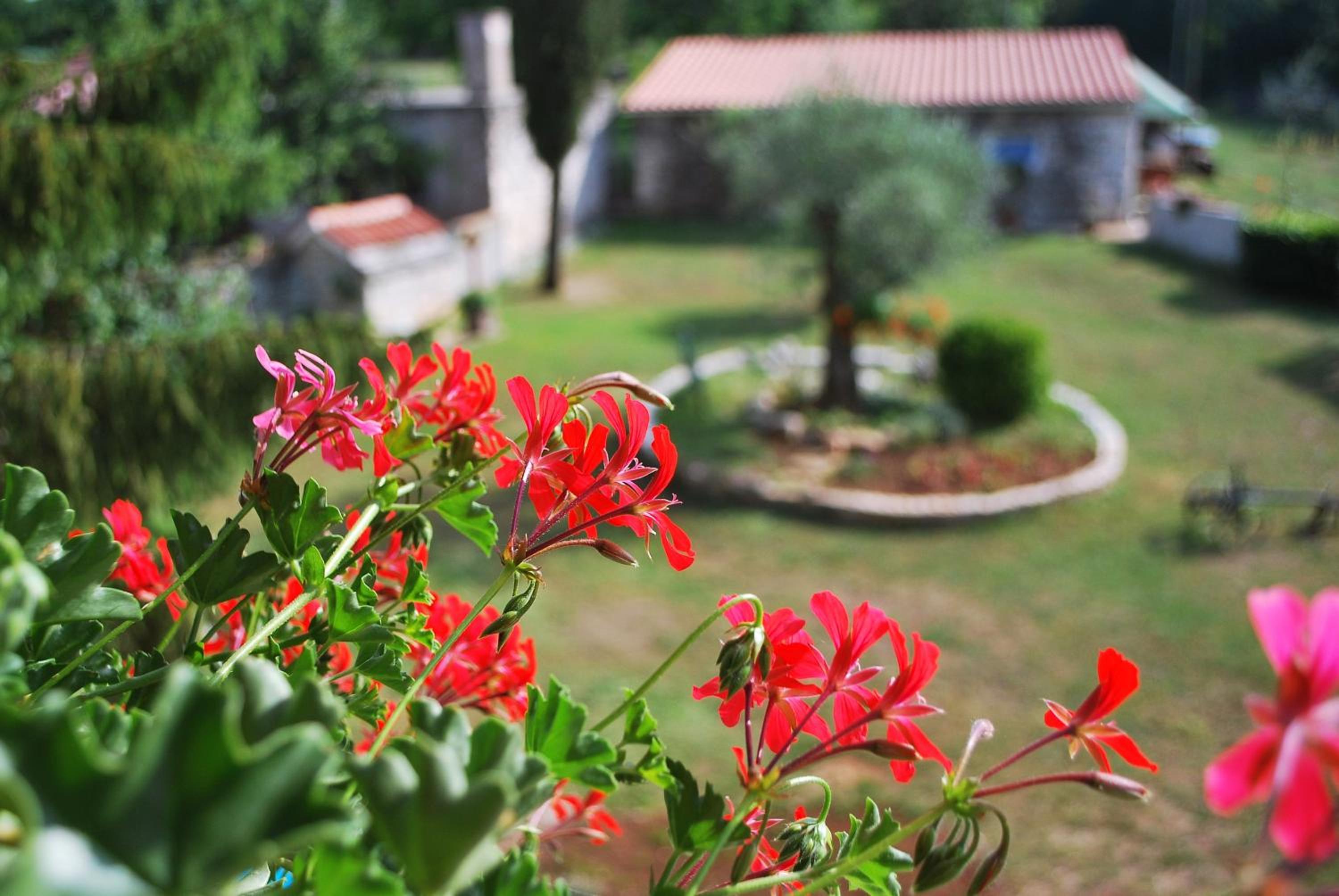 Apartment Slavica view 4