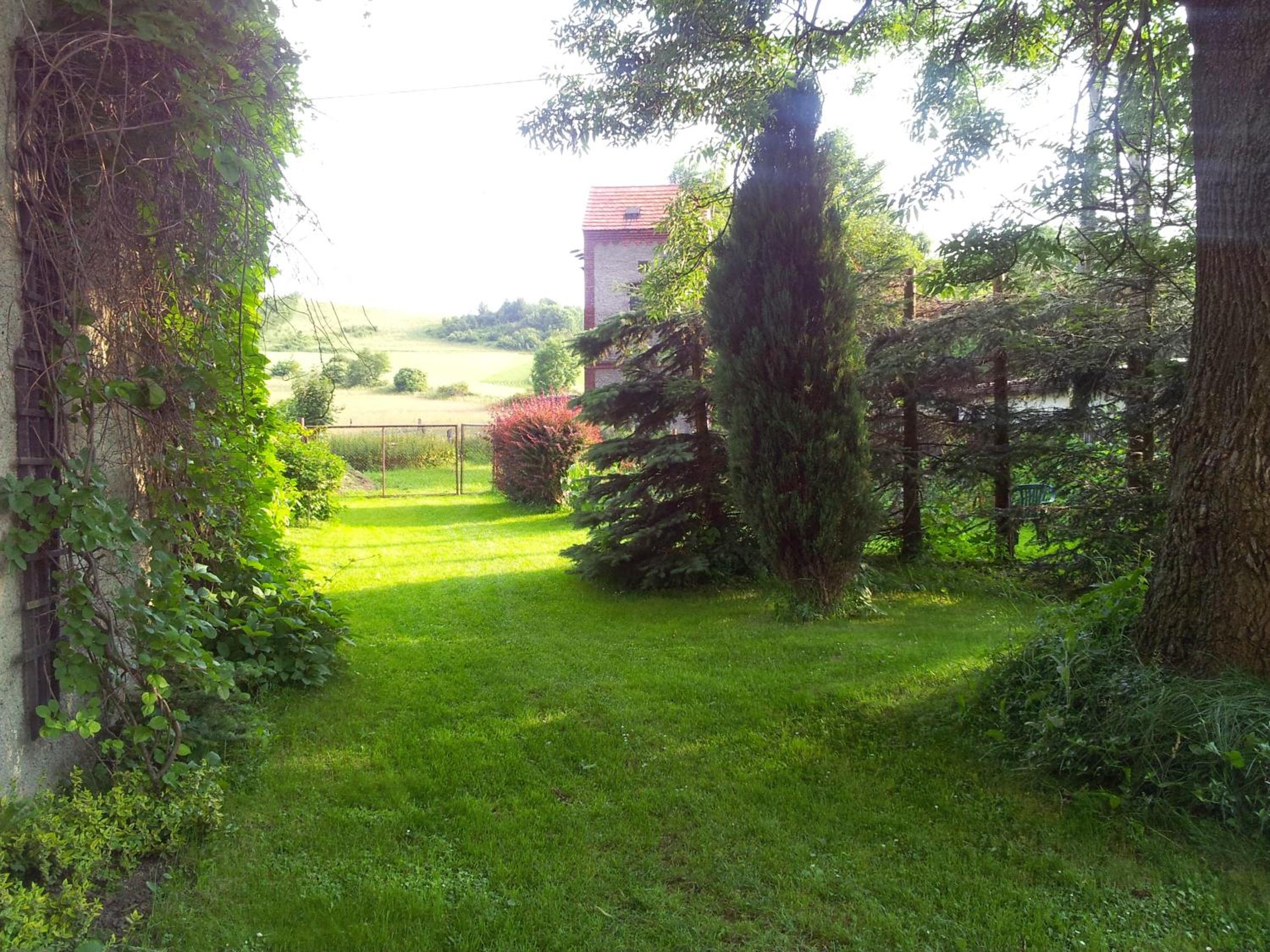 Photo 33