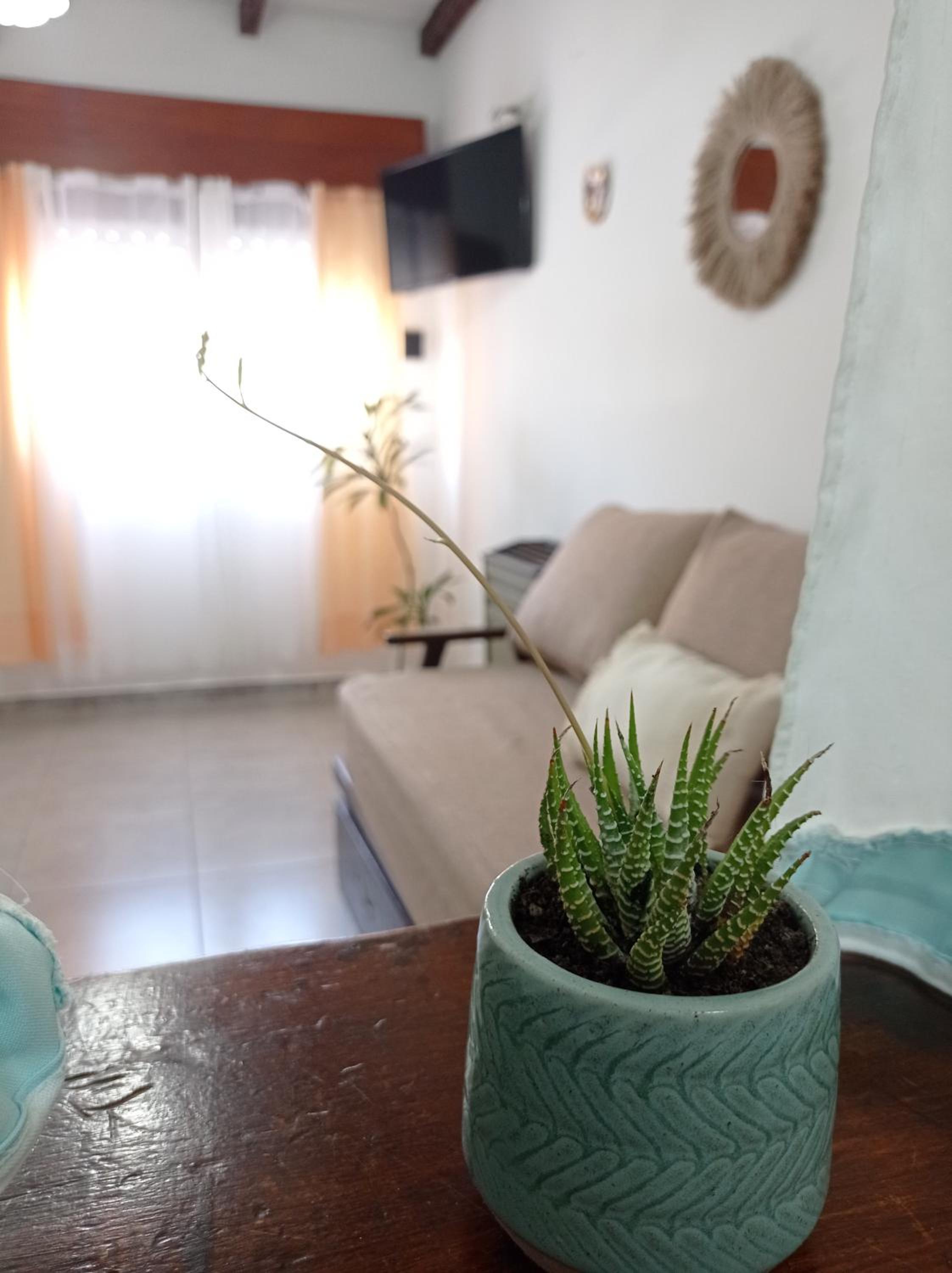 Departamento Boho