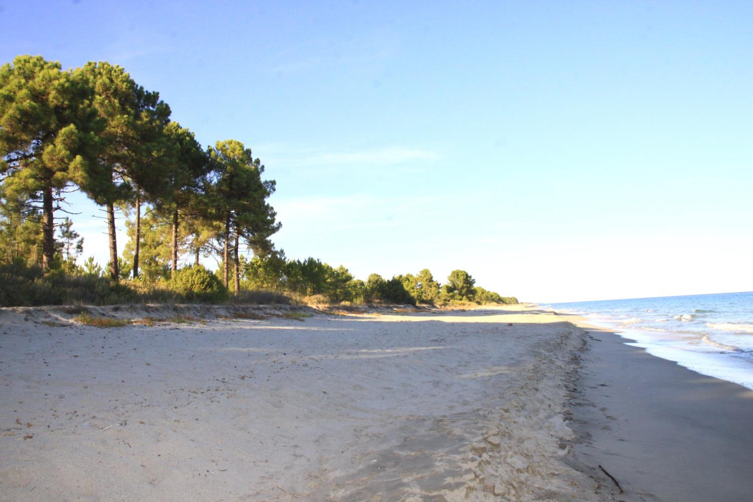 Studio apartment on the sea for couples or families view 3