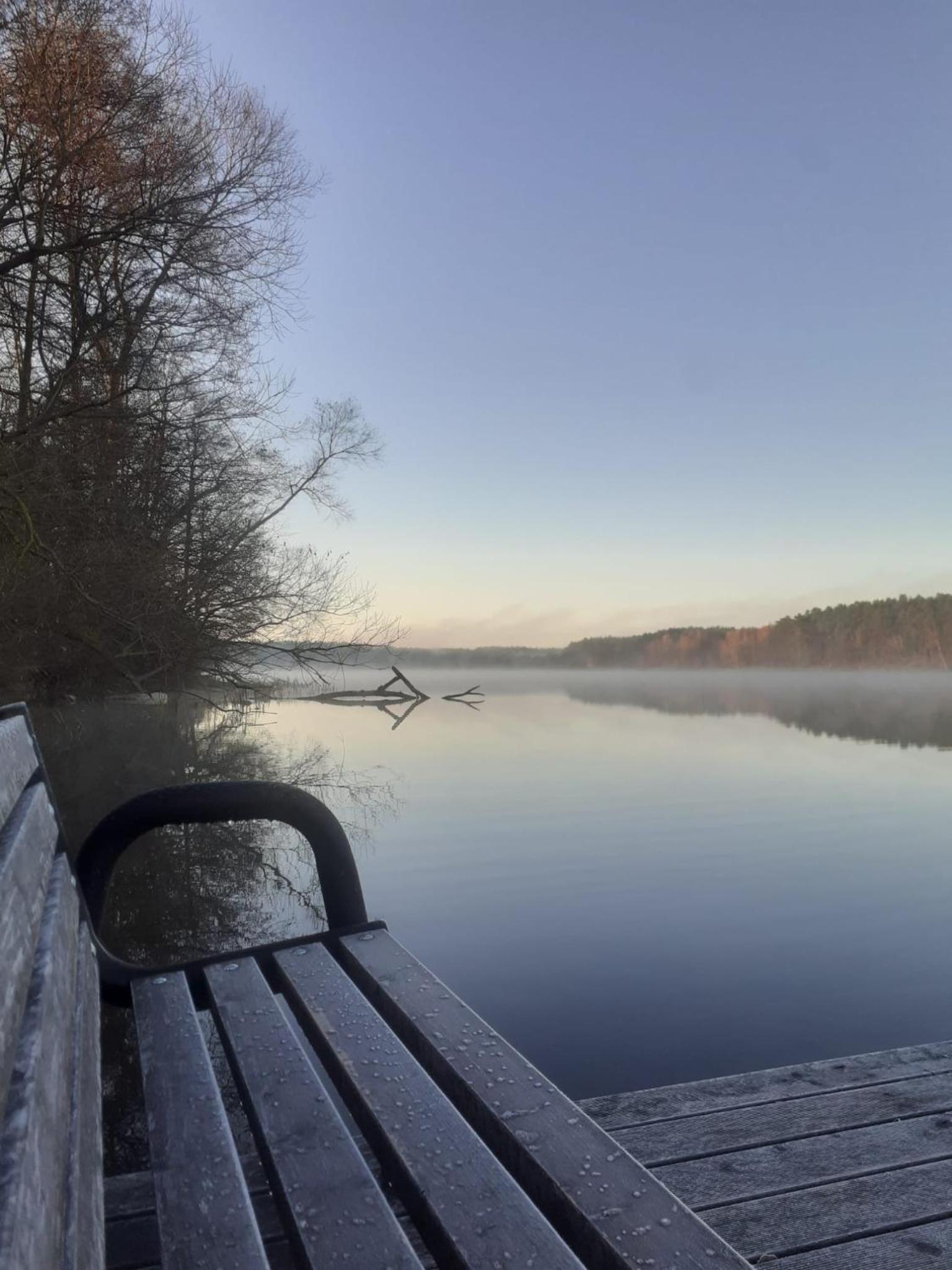 Kruszkanawierzbie view 5