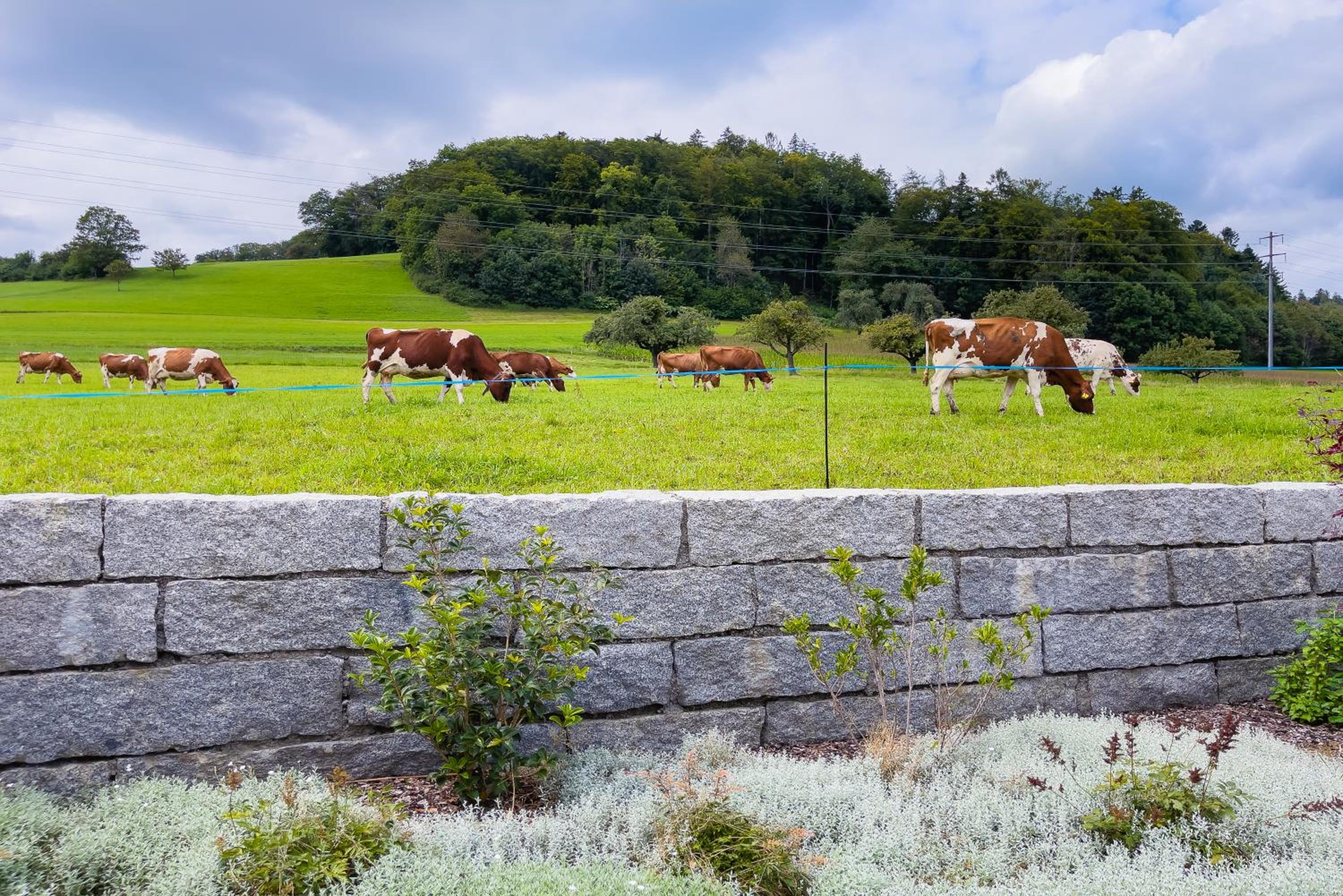 Belair Beinwil - B&B