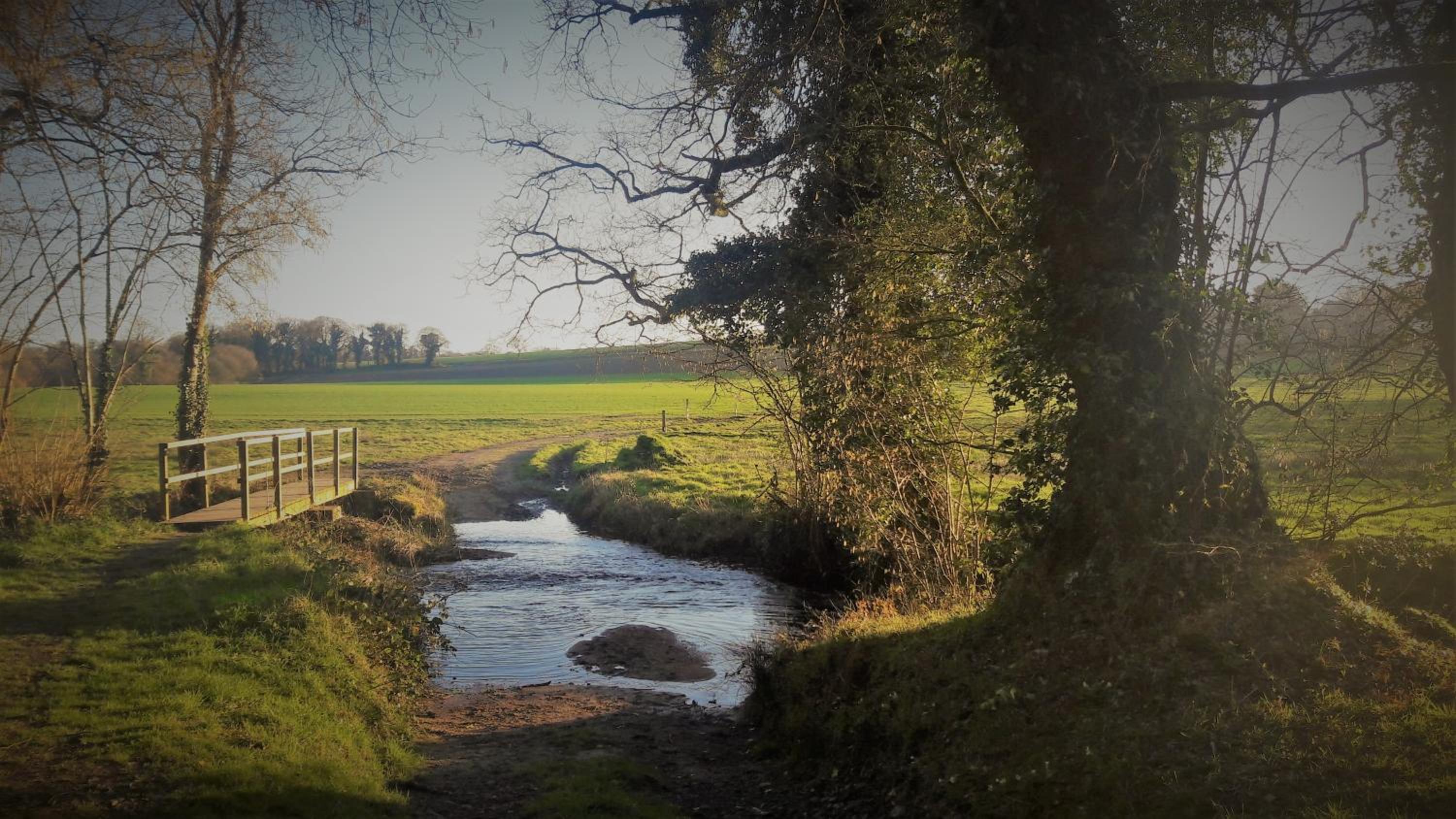 LE VERT NOMADE view 4