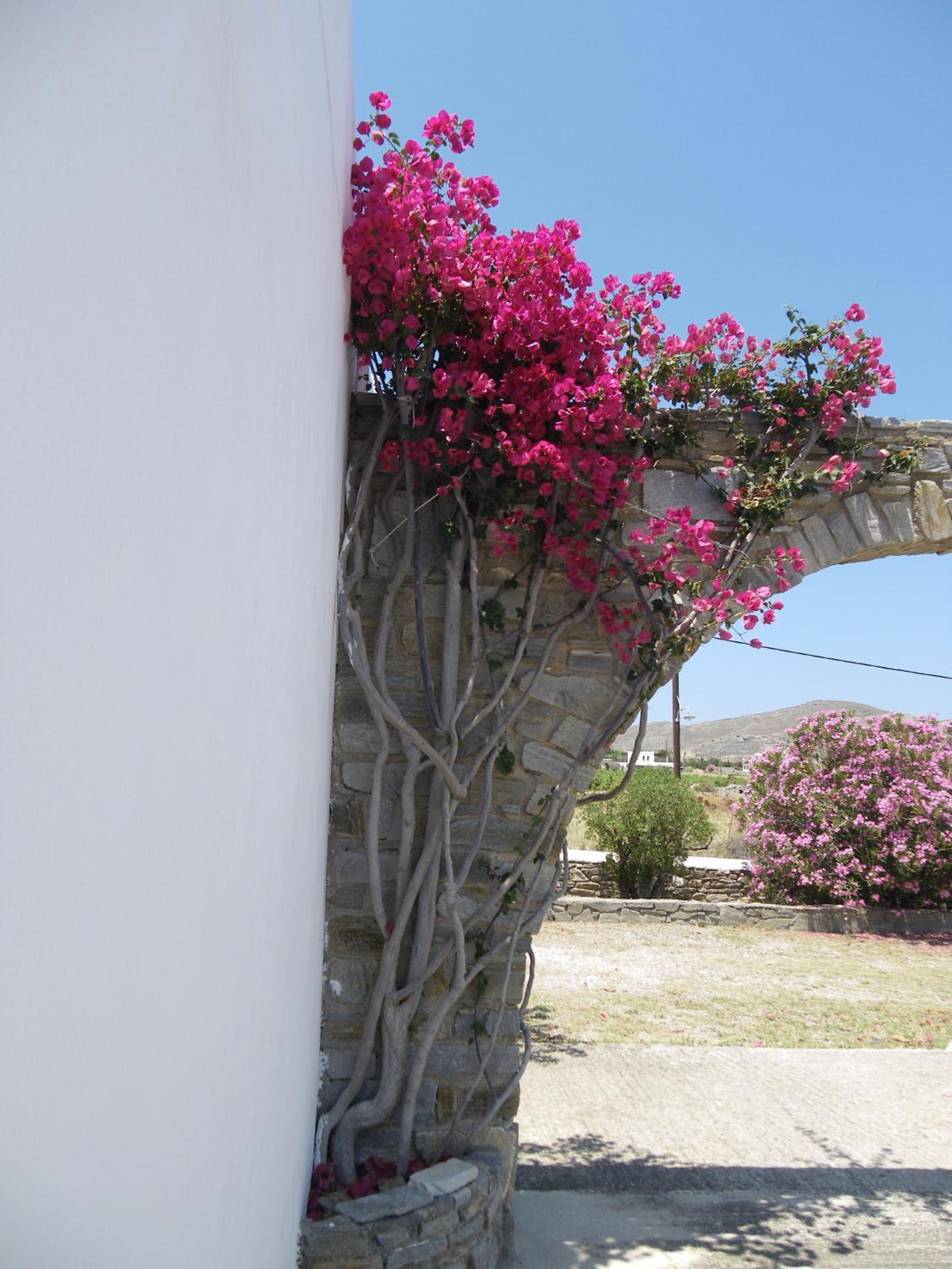 Alkionides Bungalows