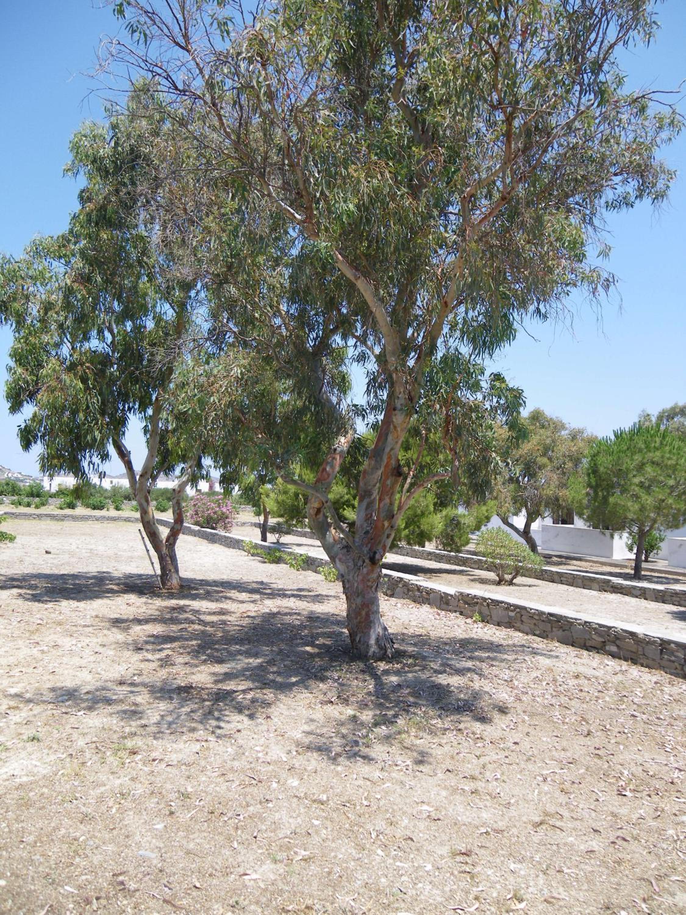 Alkionides Bungalows