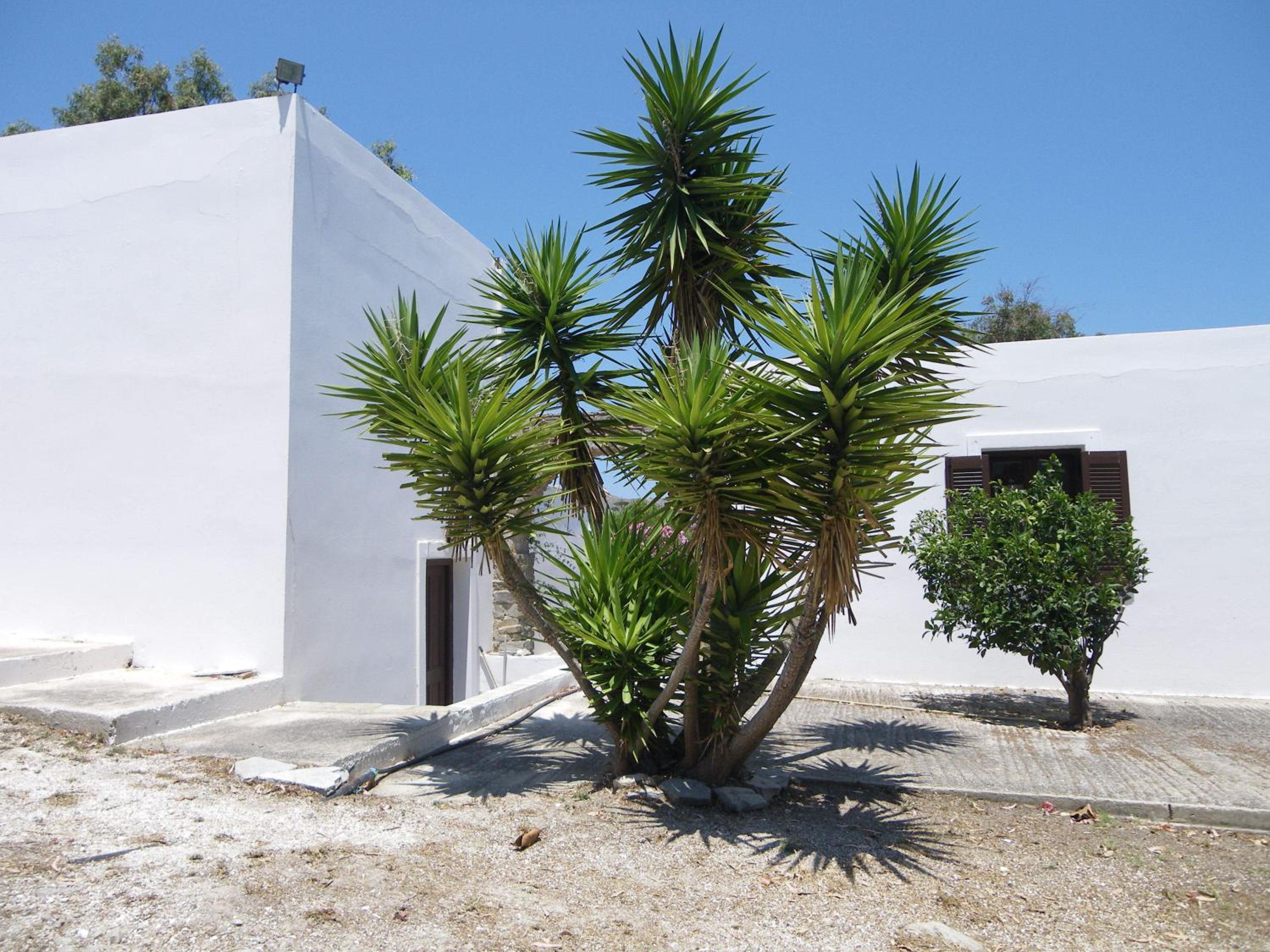 Alkionides Bungalows