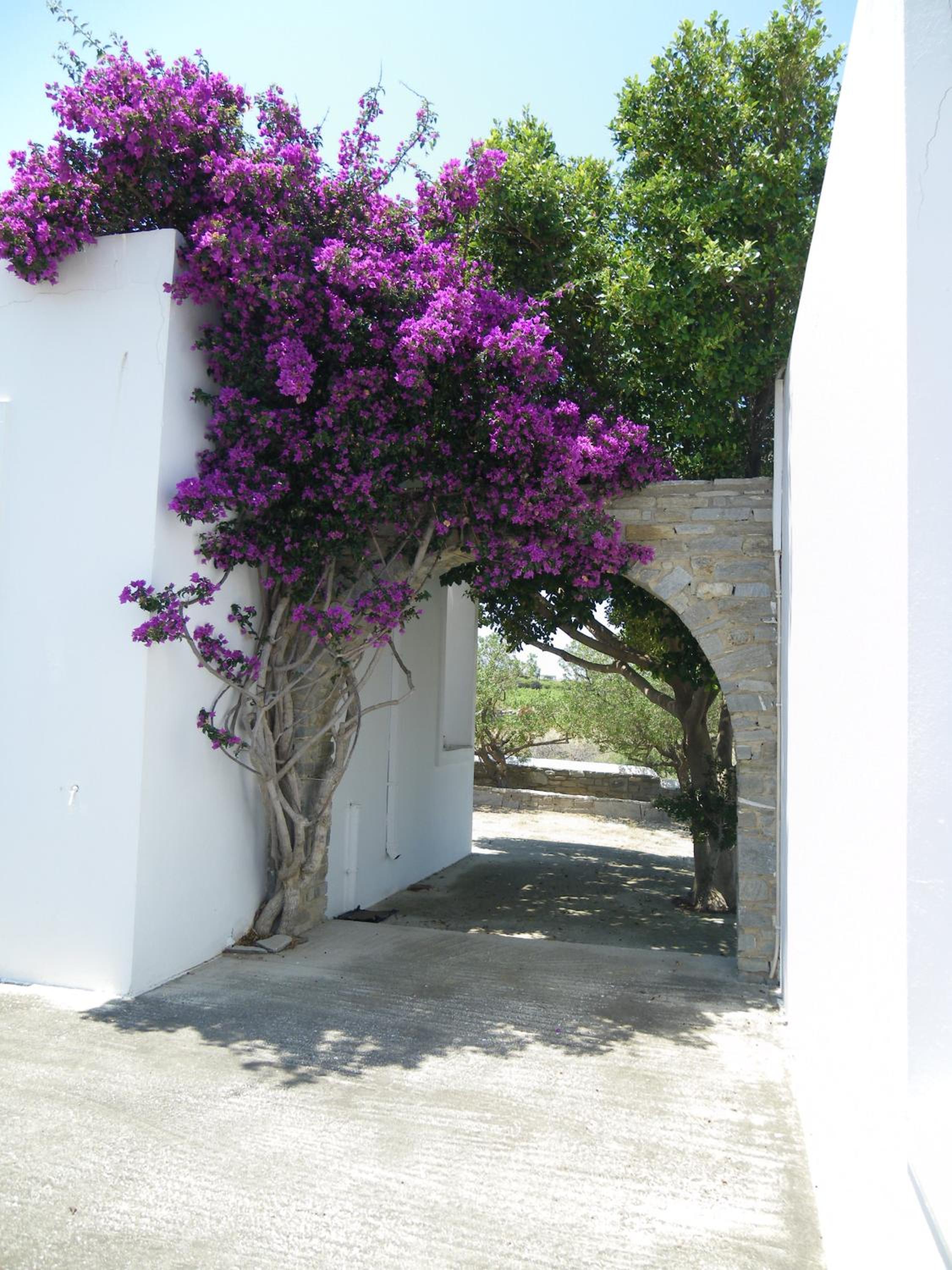 Alkionides Bungalows