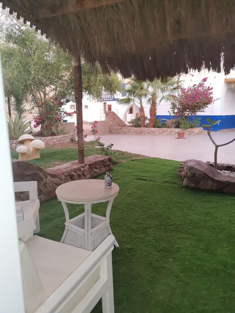 Sunshine Divers Club - Il Porto