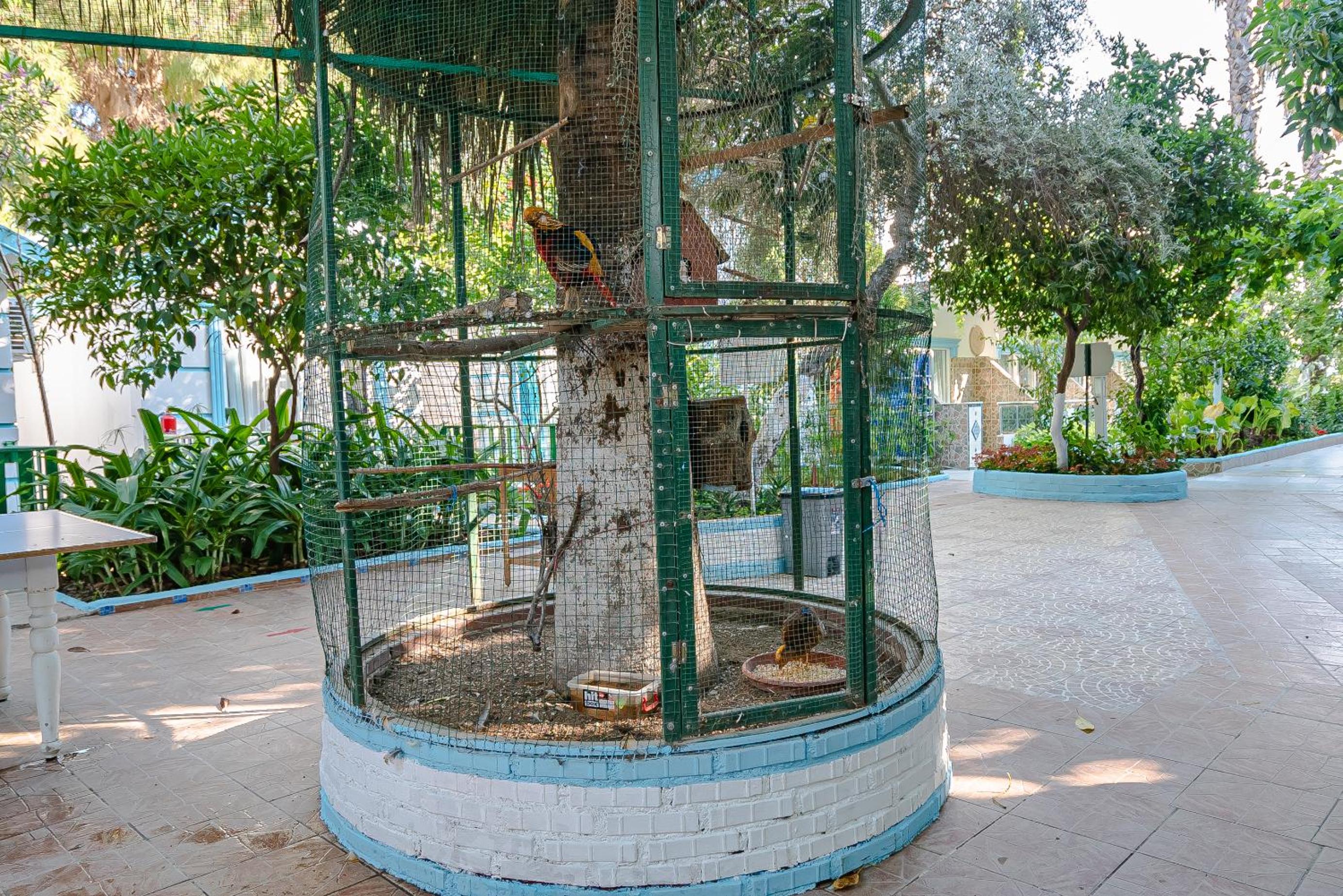 children's play area