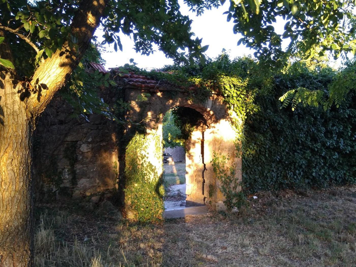 Photo 24