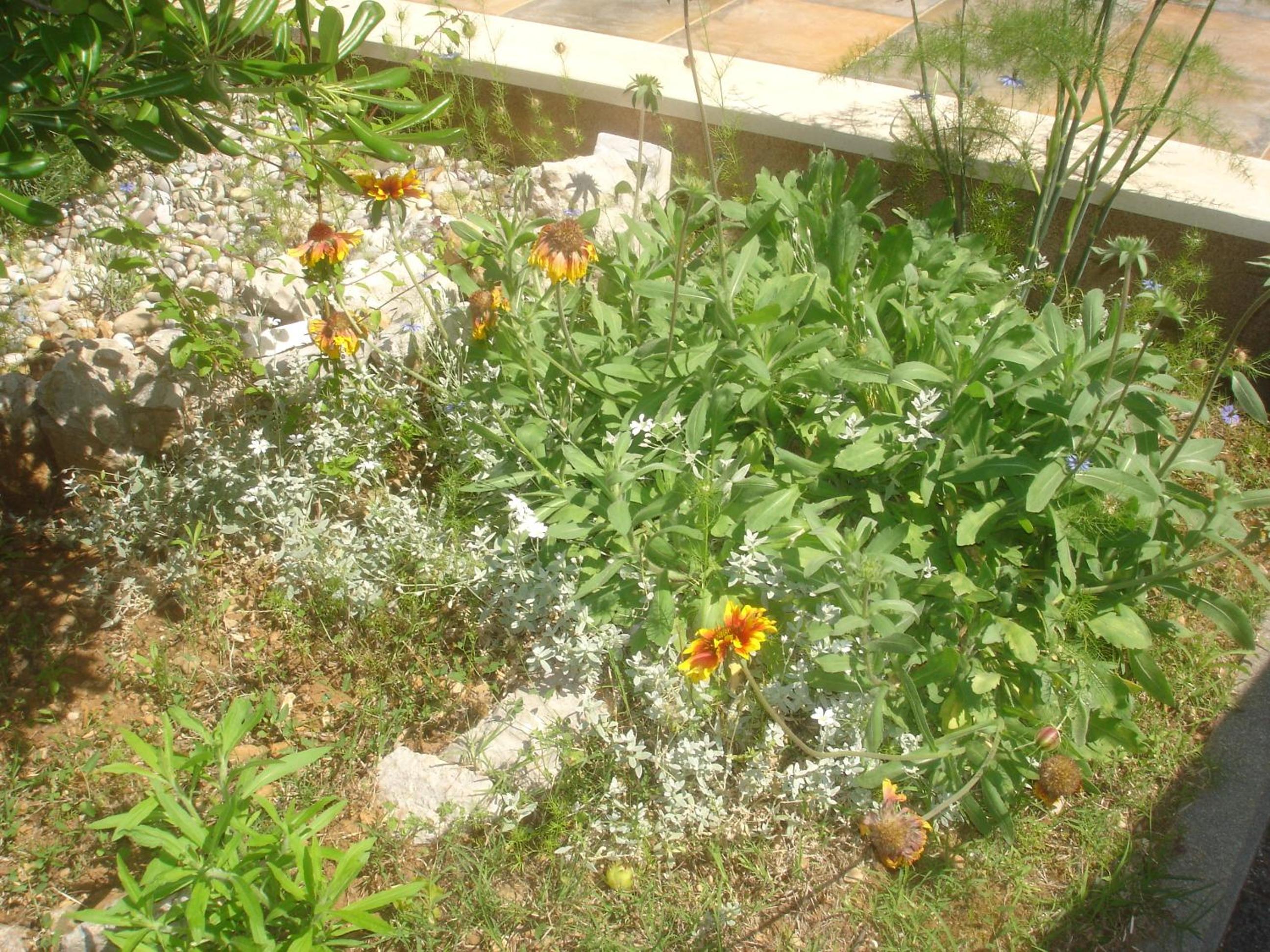 Photo 37