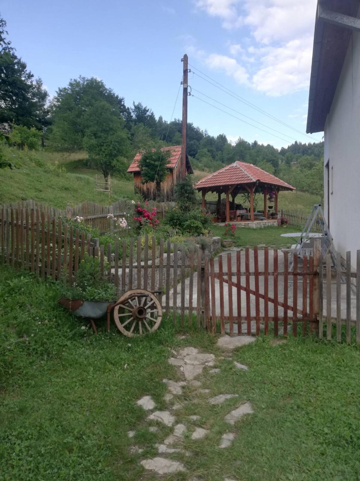Photo 8