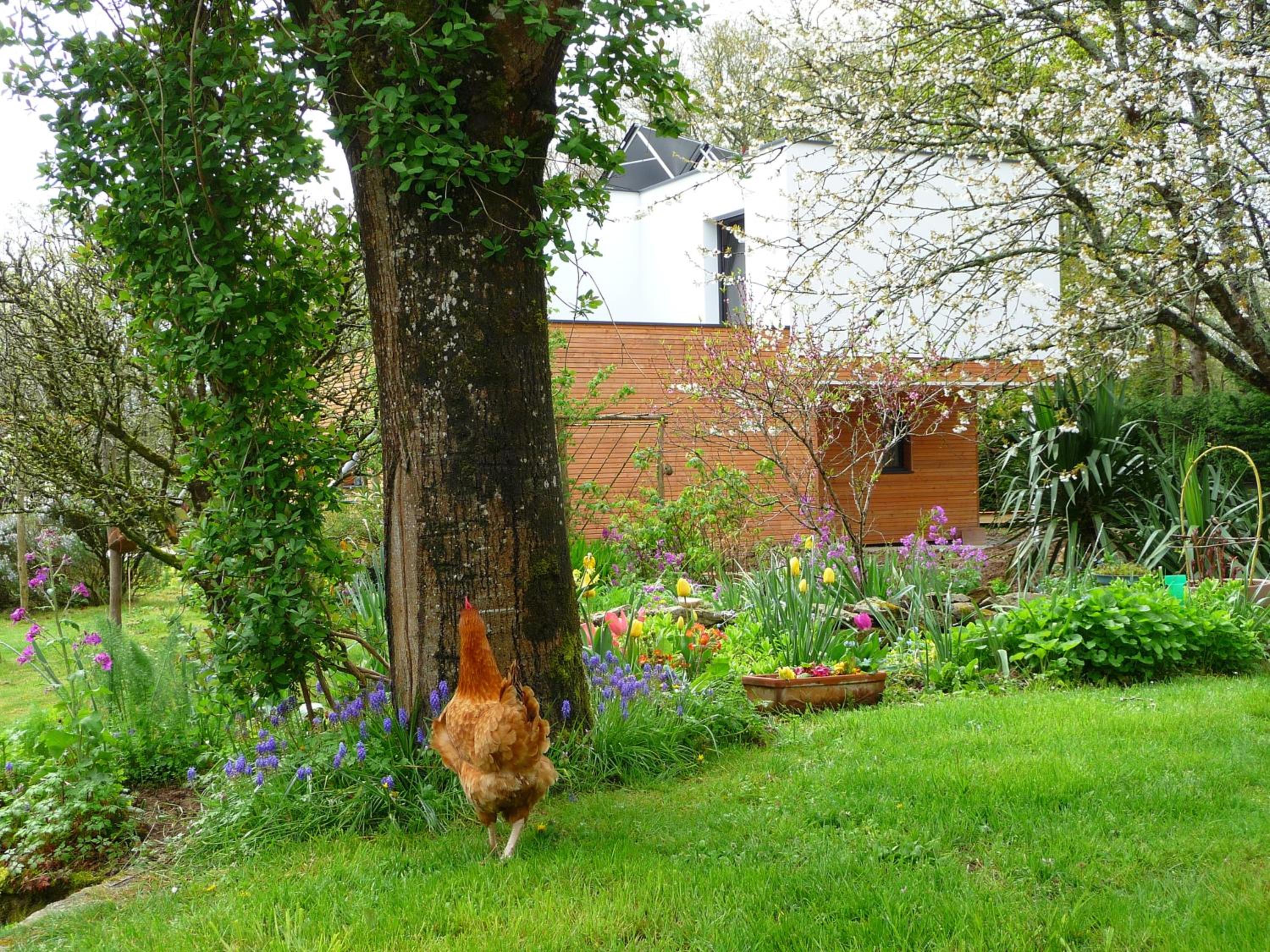 Le Jardin aux Oiseaux