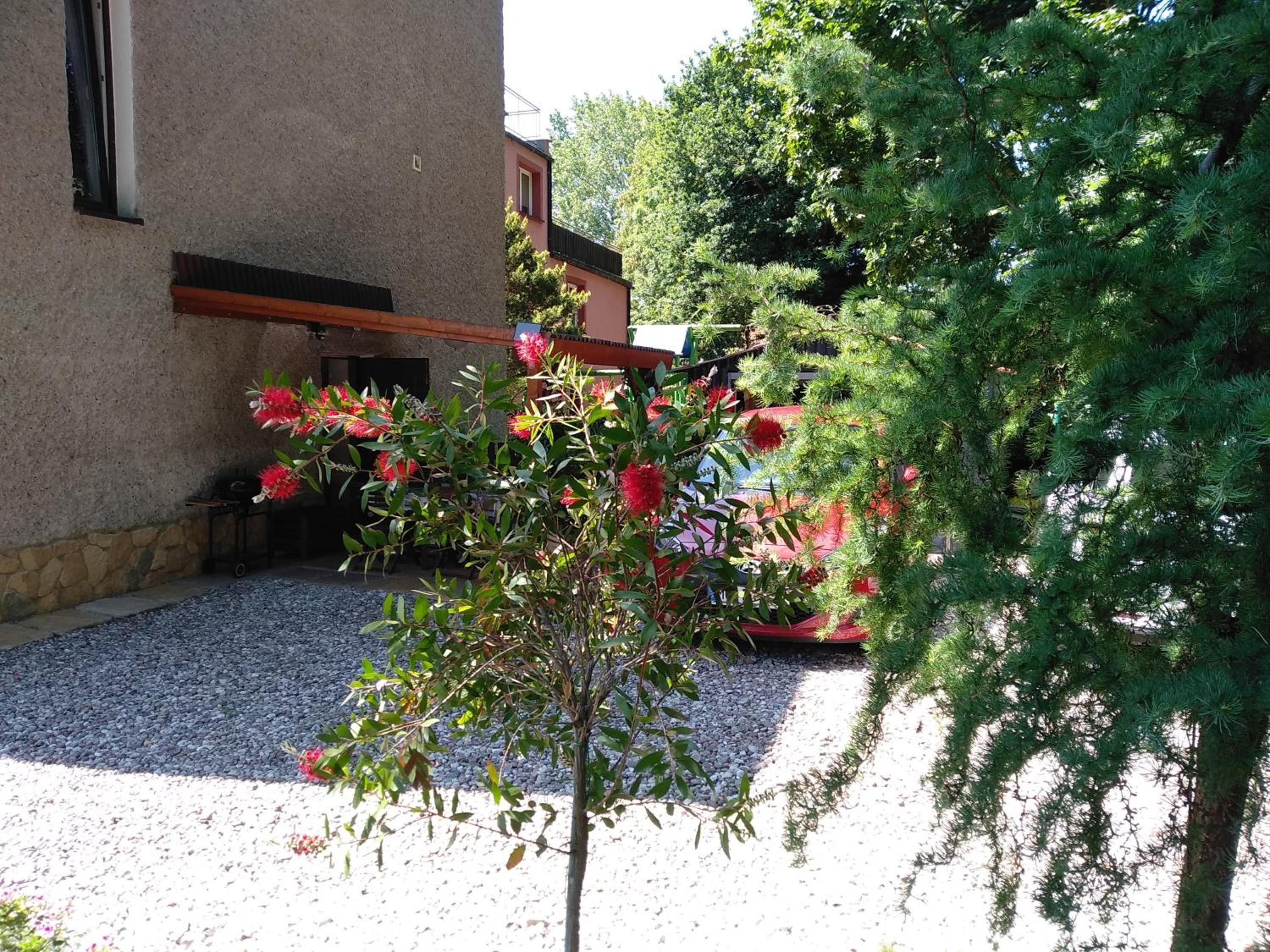Photo 43