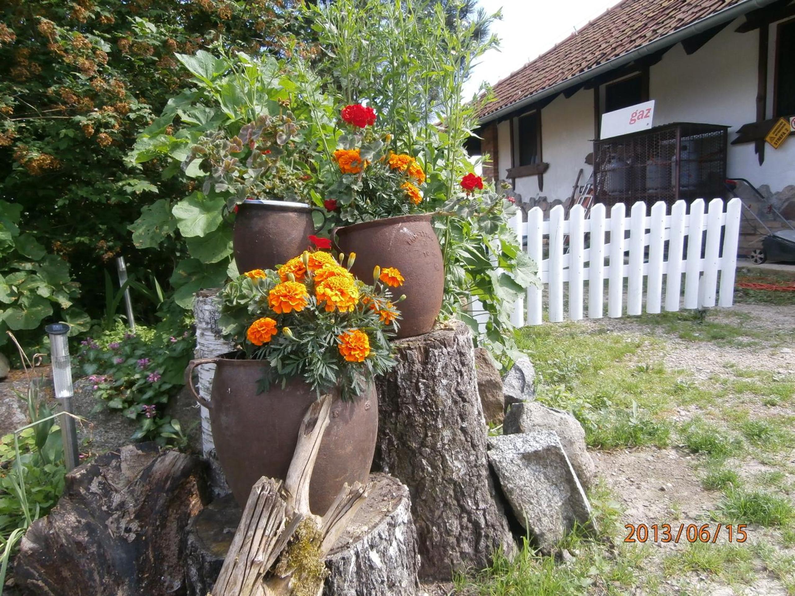 Photo 42