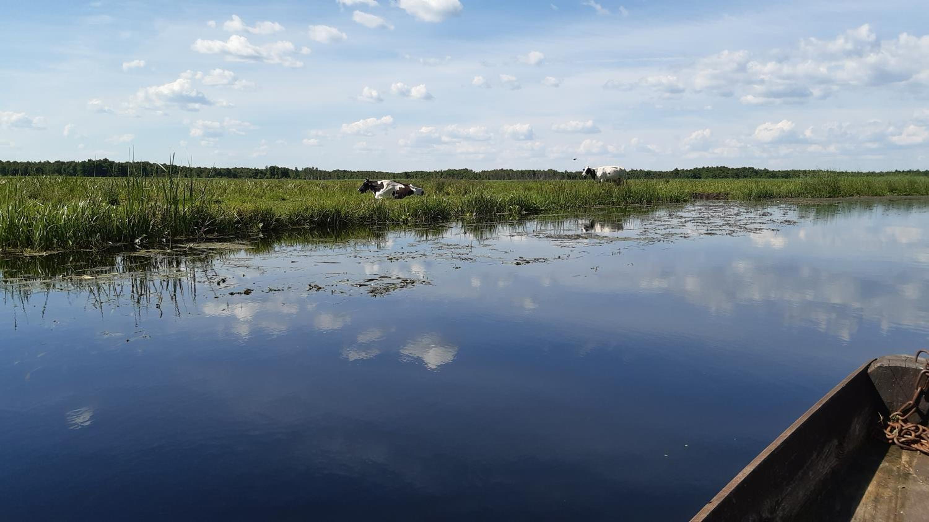 Noclegi nad Biebrzą Stara Szkoła, Foto 21