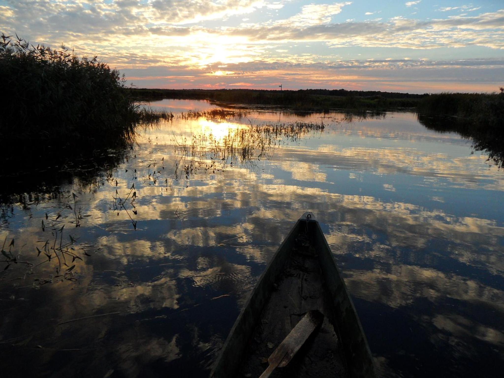 Noclegi nad Biebrzą Stara Szkoła, Foto 43