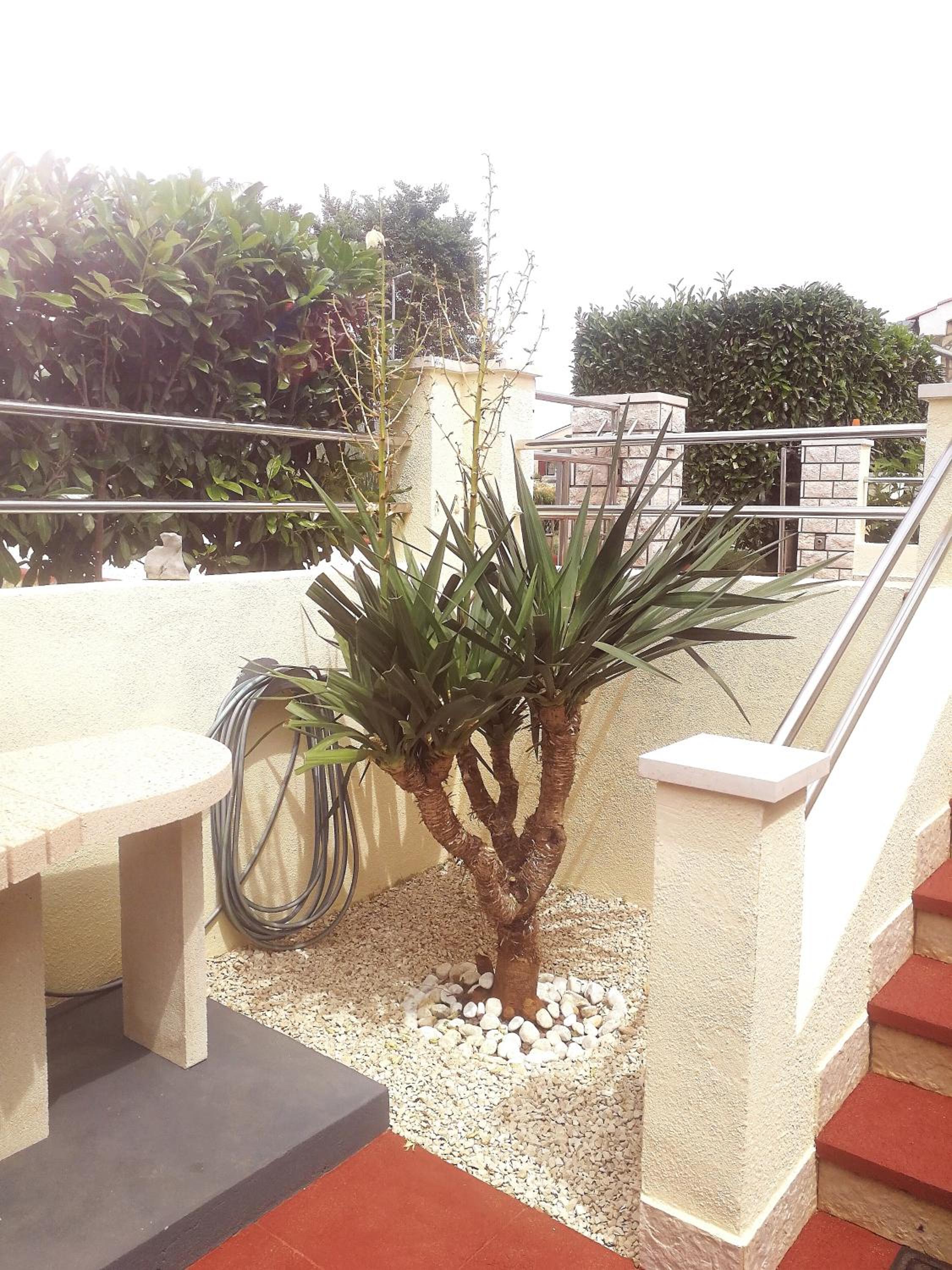 Villa Sweet Home view 5