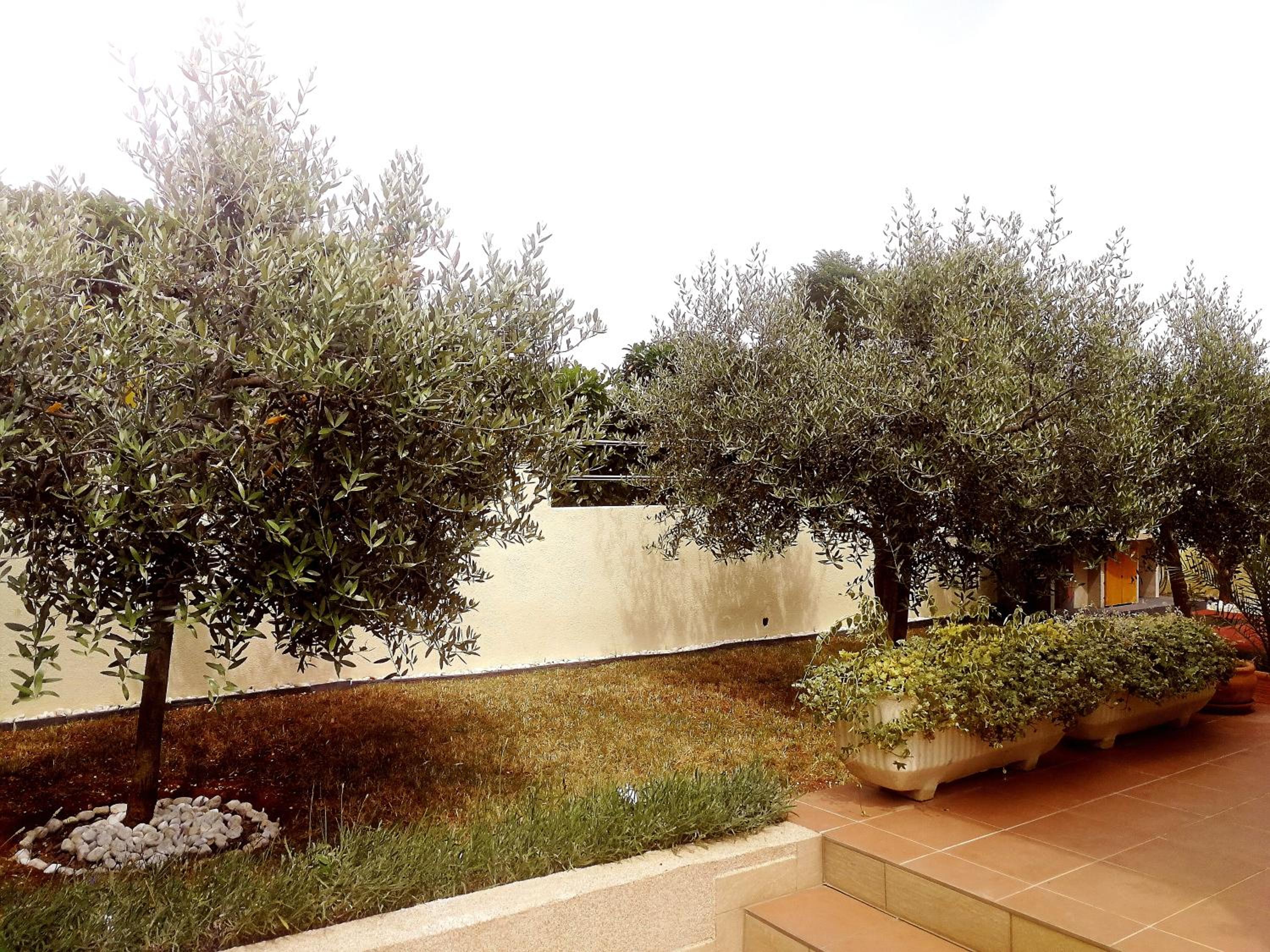Villa Sweet Home view 4