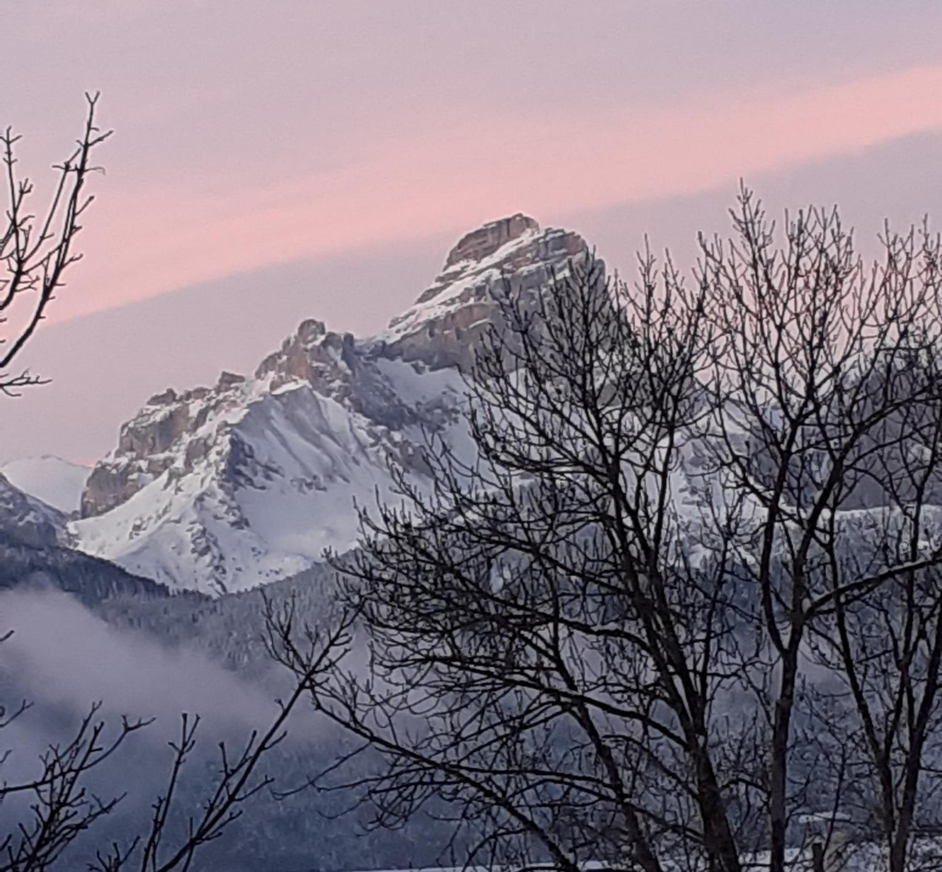 L'éloge de la Nature view 4