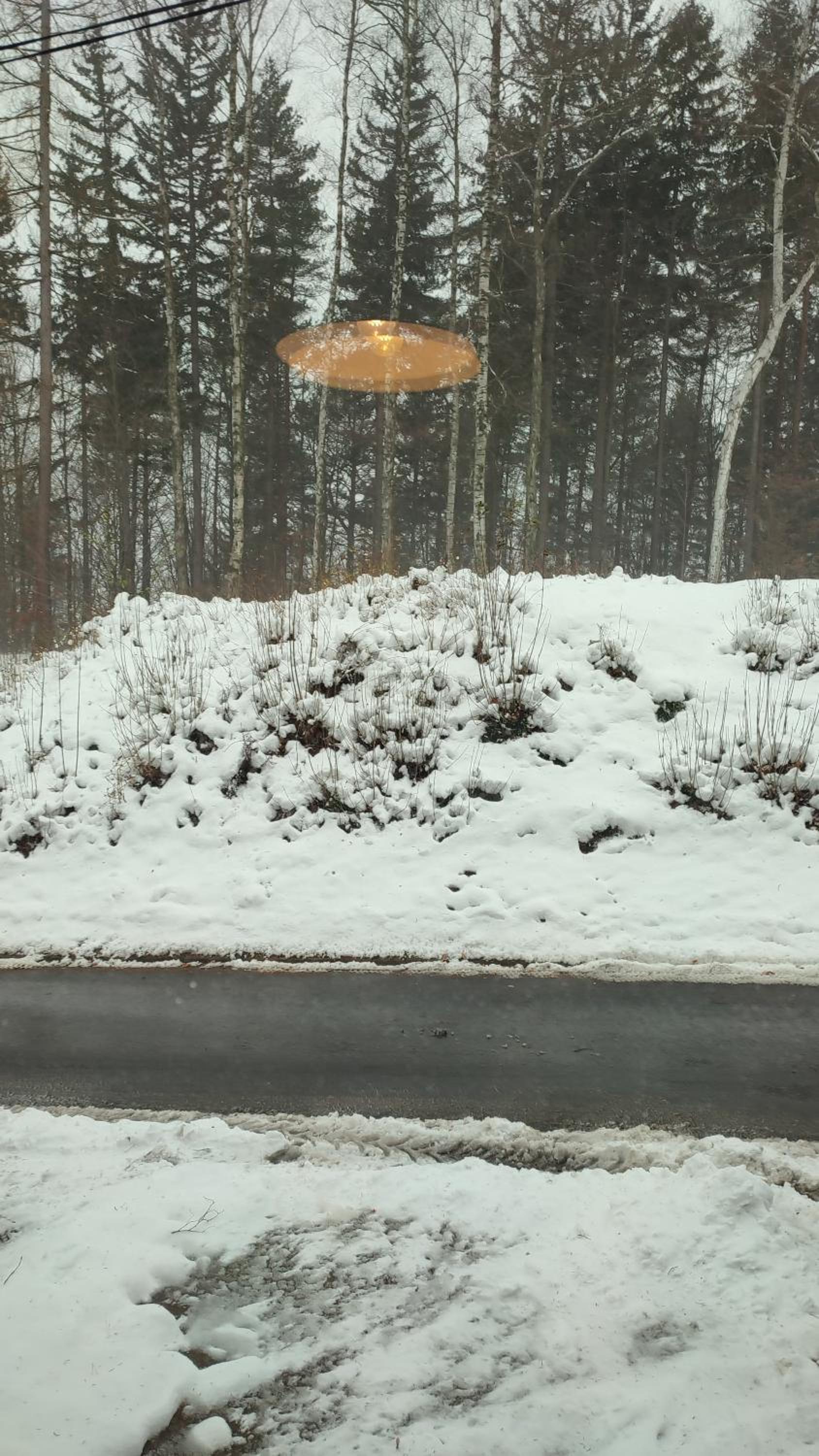 Chopina 6 na zielonym wzgórzu