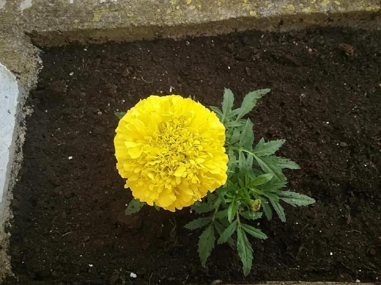 Photo 29