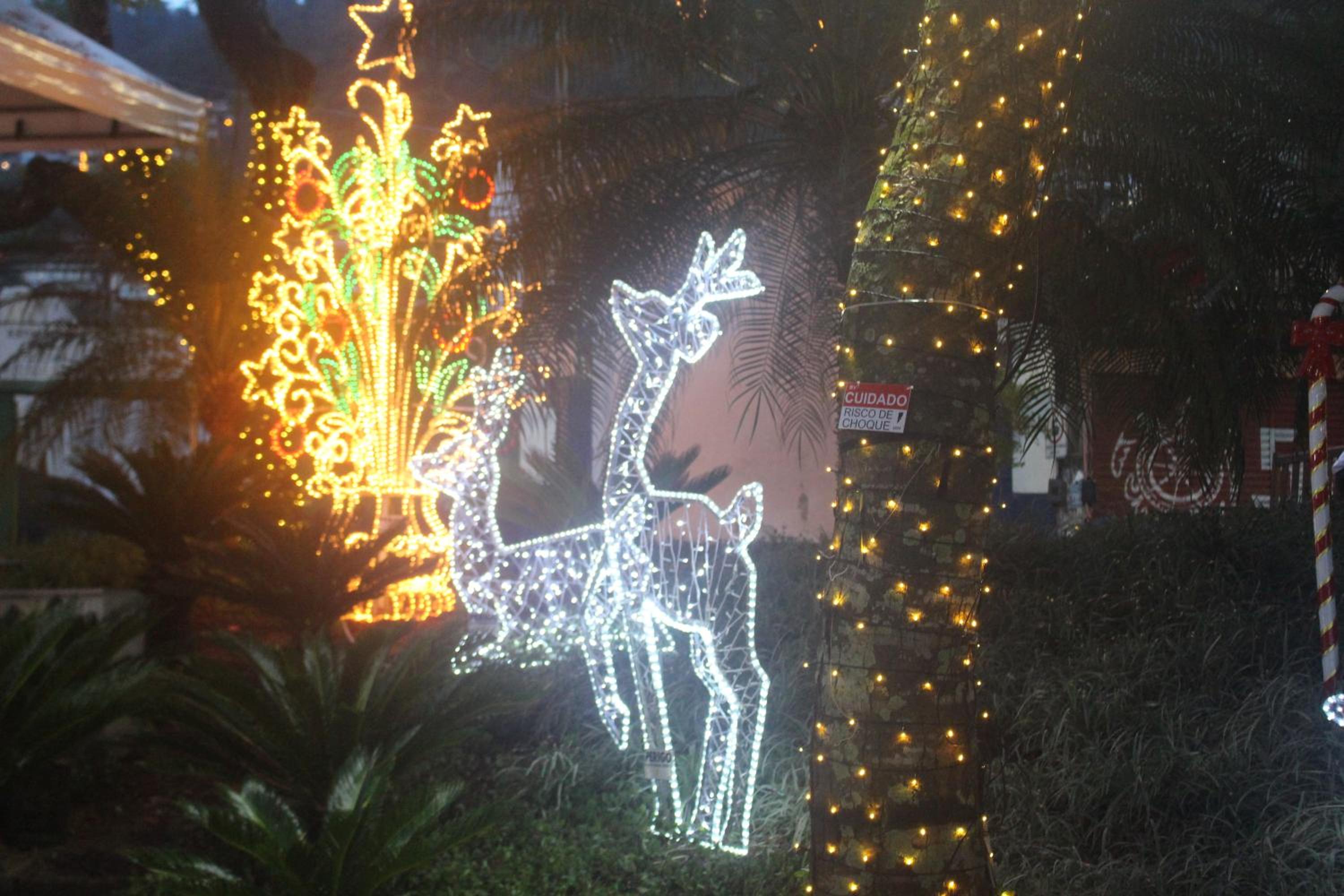 Photo 49