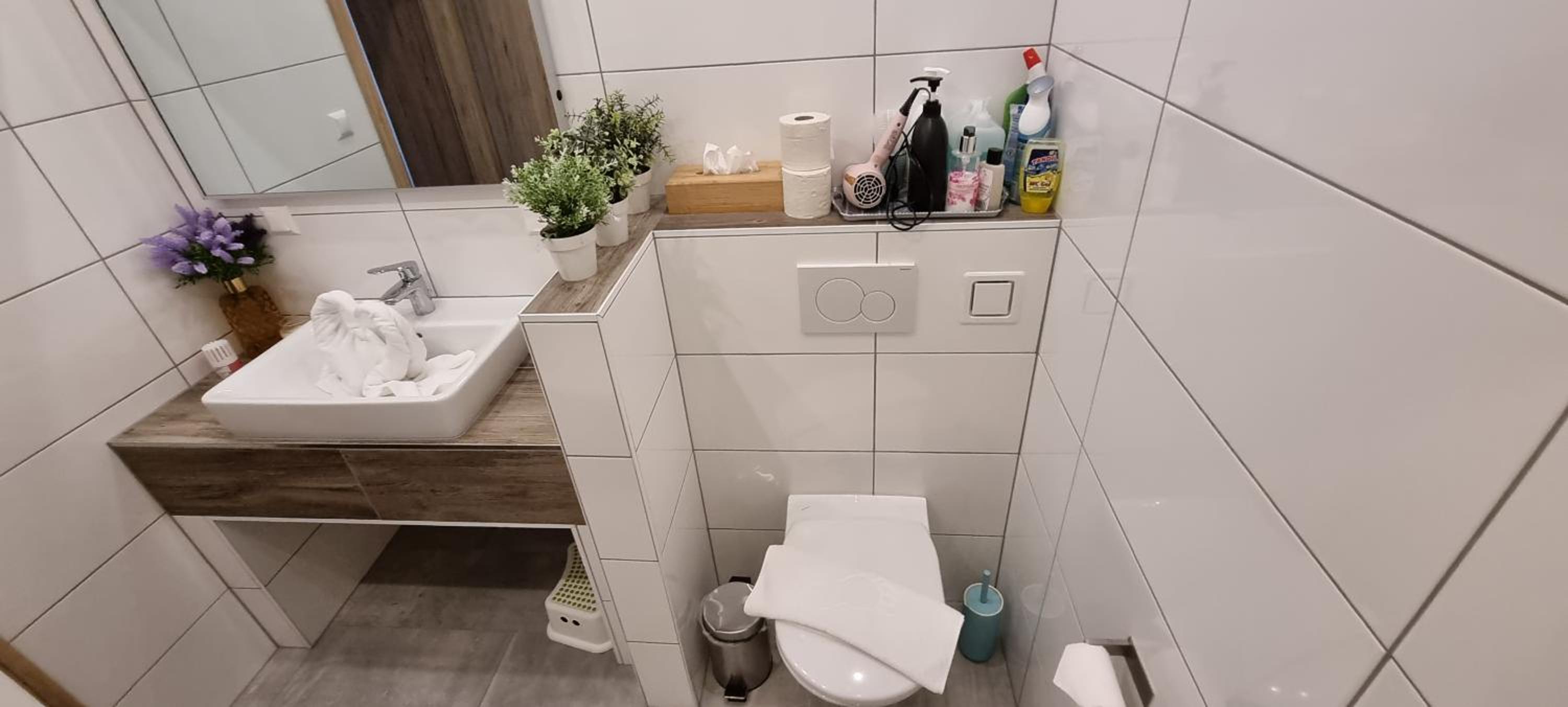 APARTMENT WALD - im Skigebiet Gerlitzen & Ossiacher See