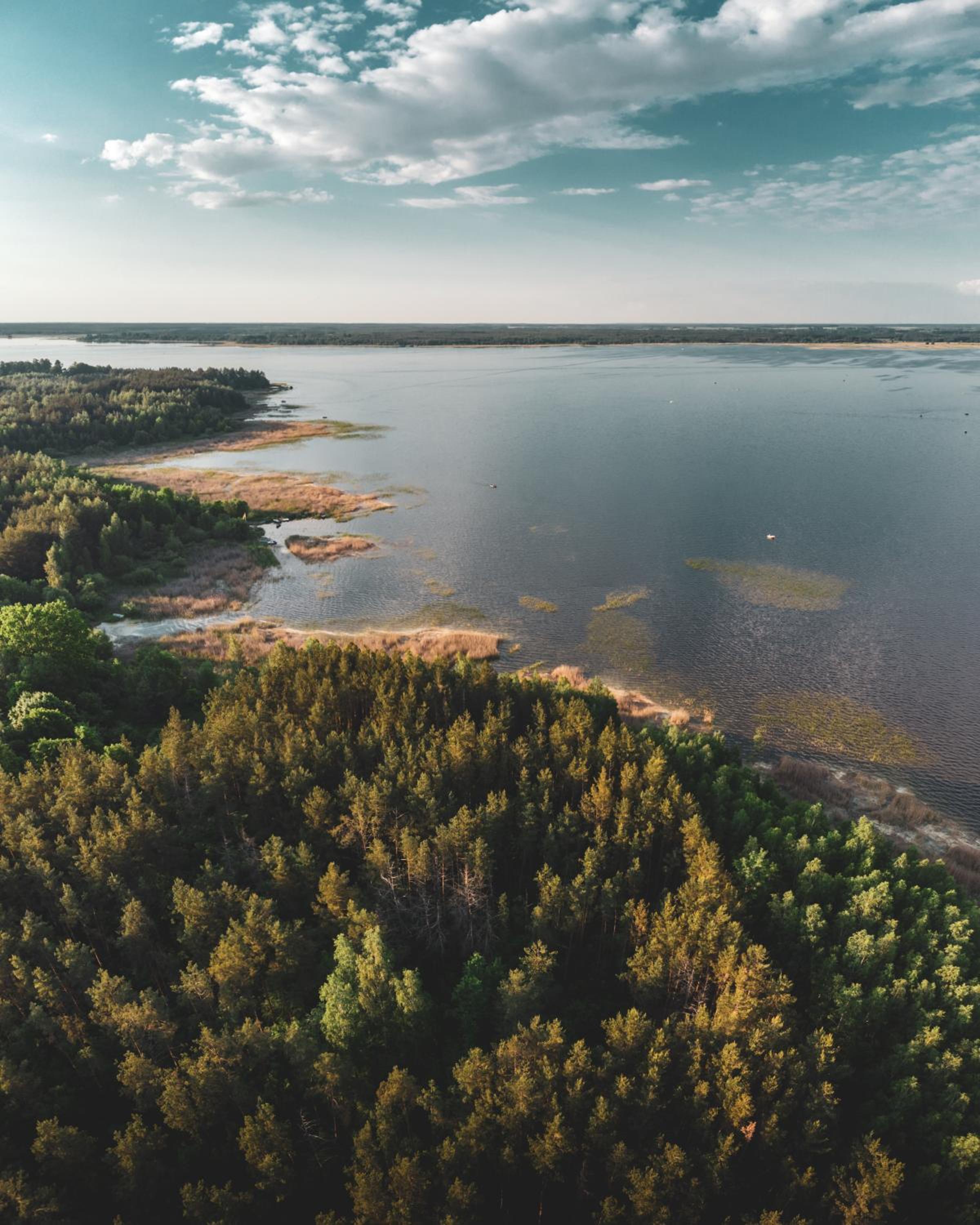 Leśna 21 Dom Południe przy PUSZCZA BIAŁOWIESKA