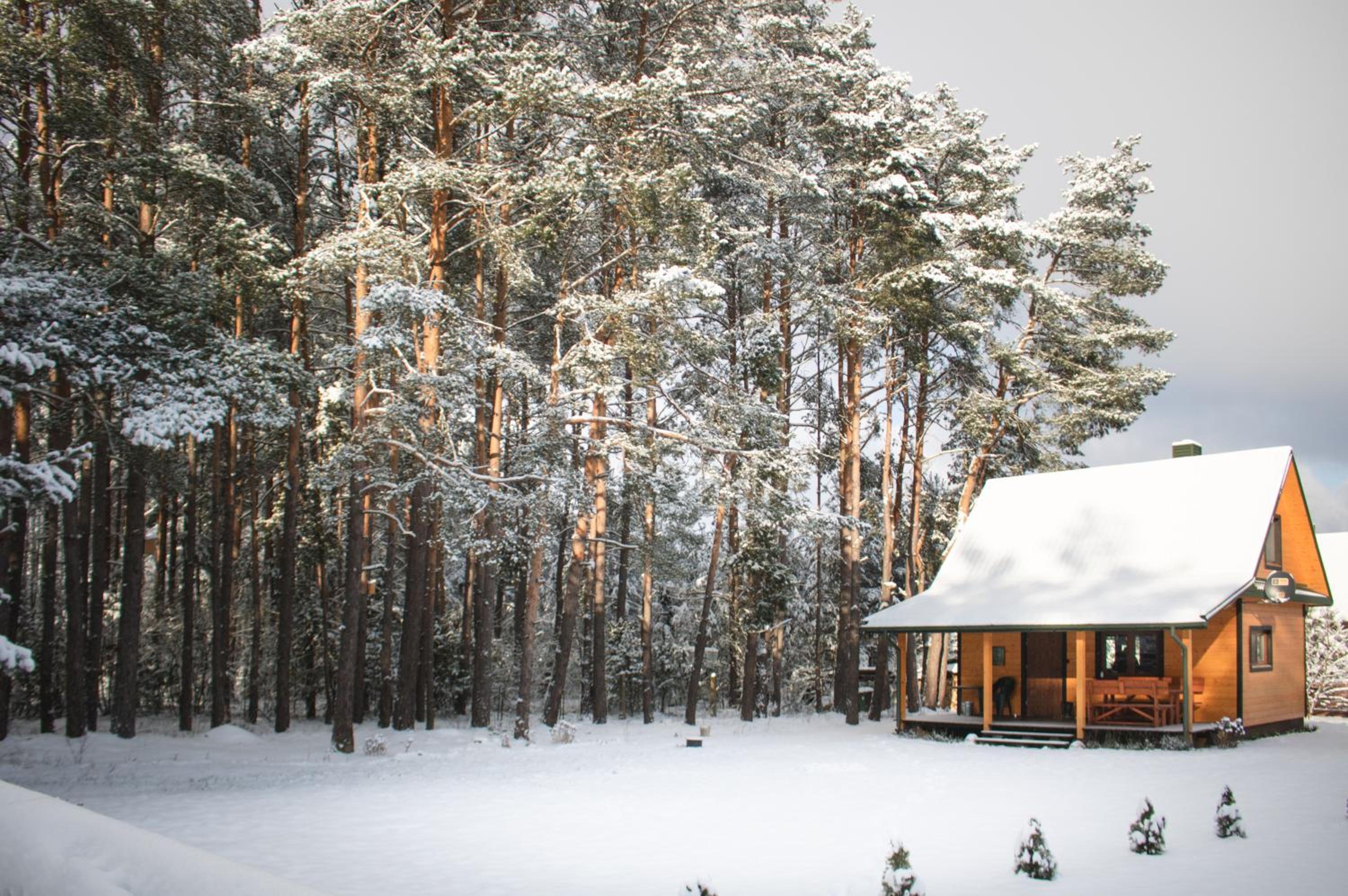 Leśna 21 Dom Południe przy PUSZCZA BIAŁOWIESKA