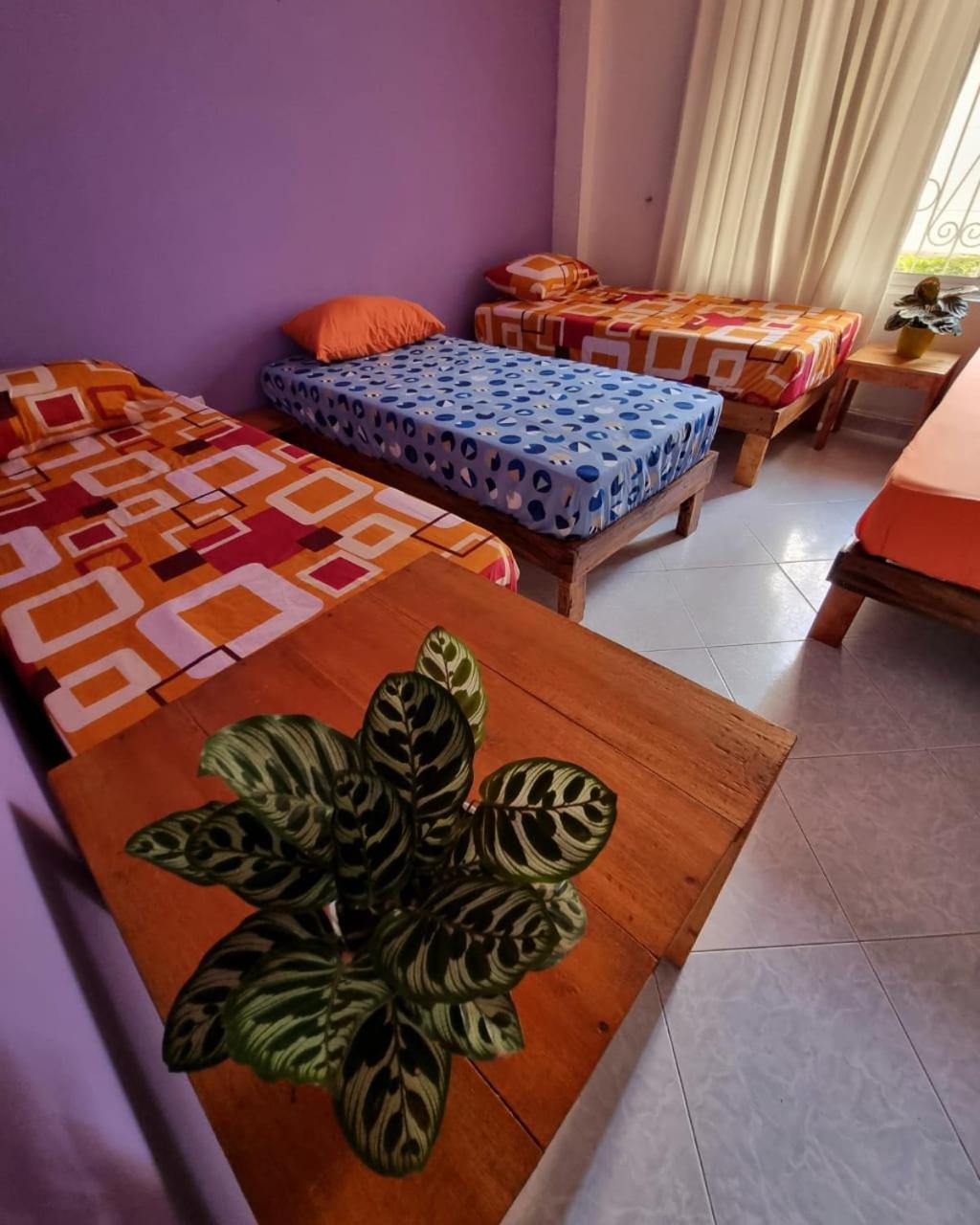 Tatami Hostel view 4