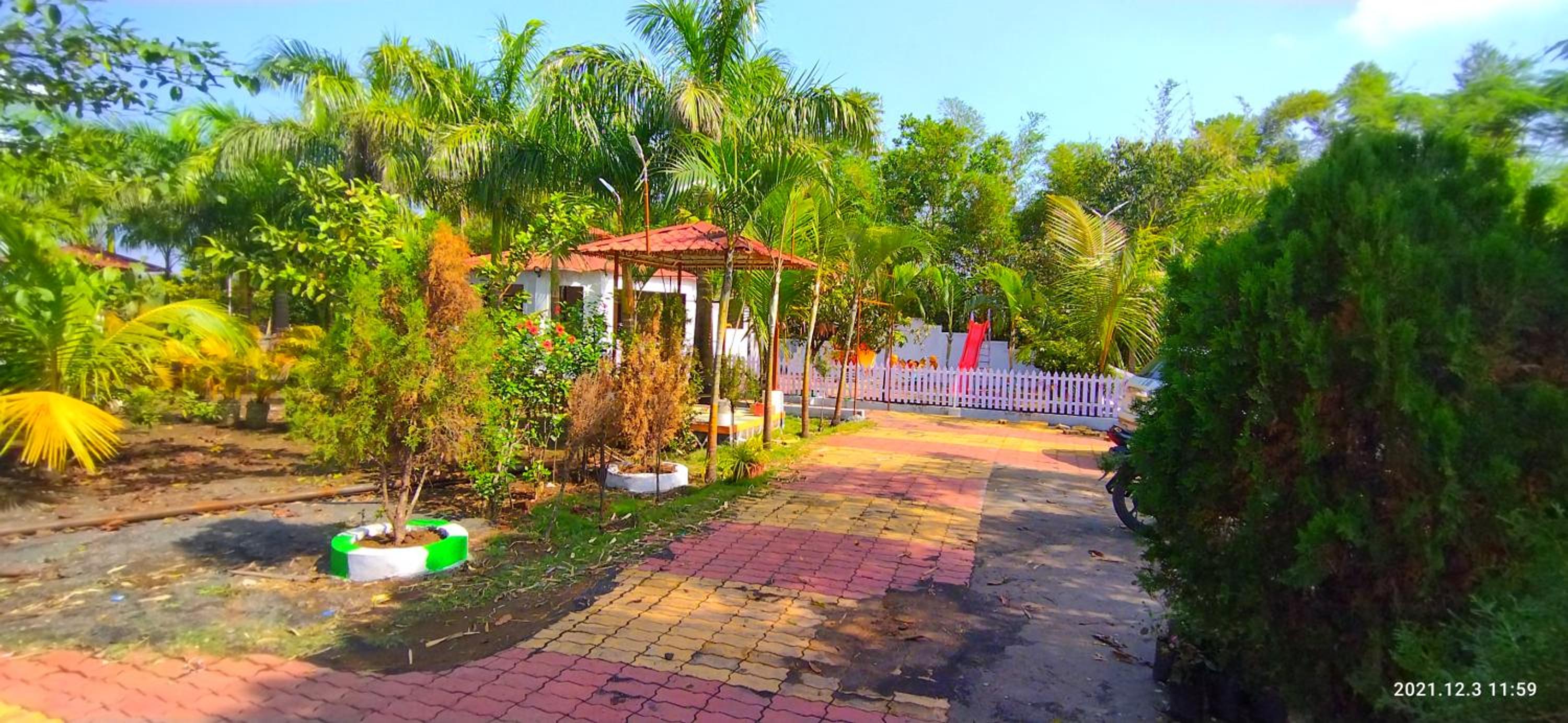 garden