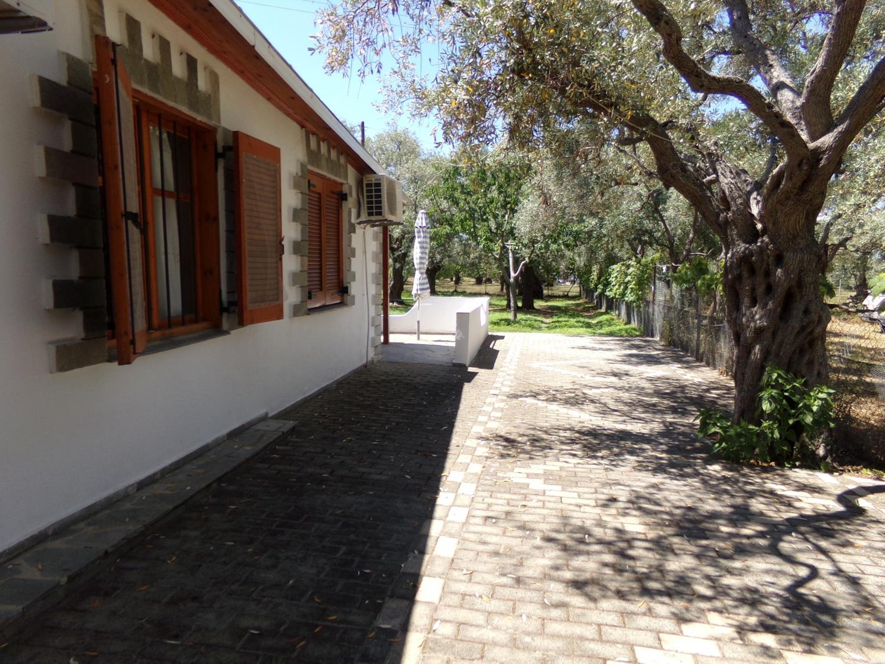 Photo 38