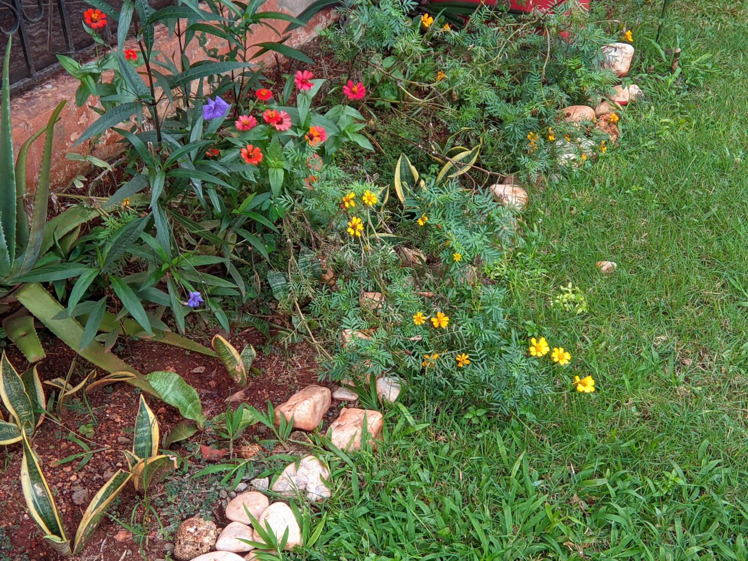 Photo 16