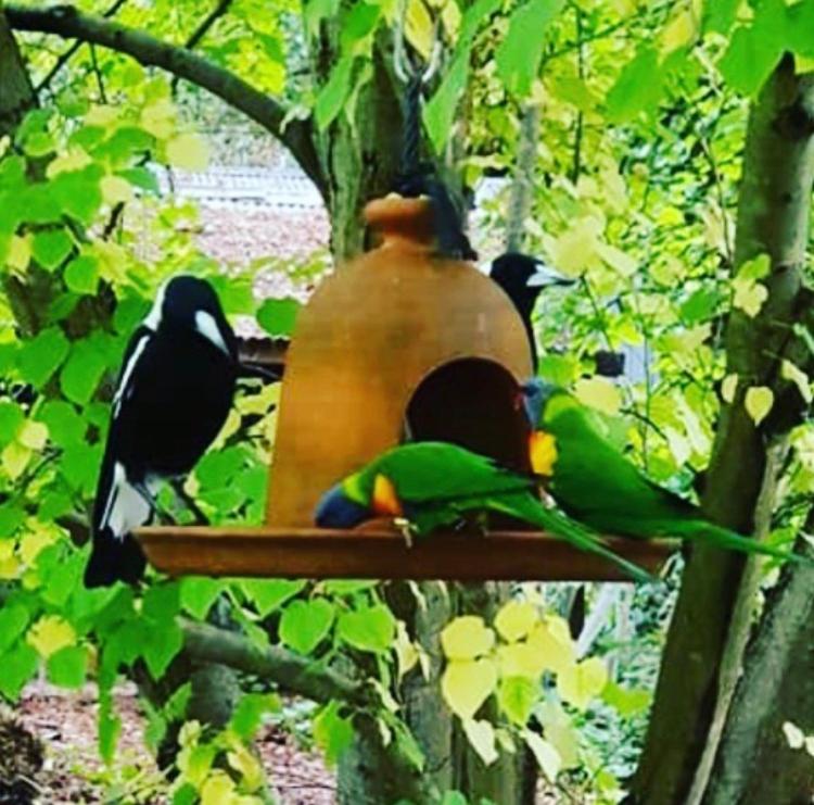 Aldgate Valley Bed and Breakfast