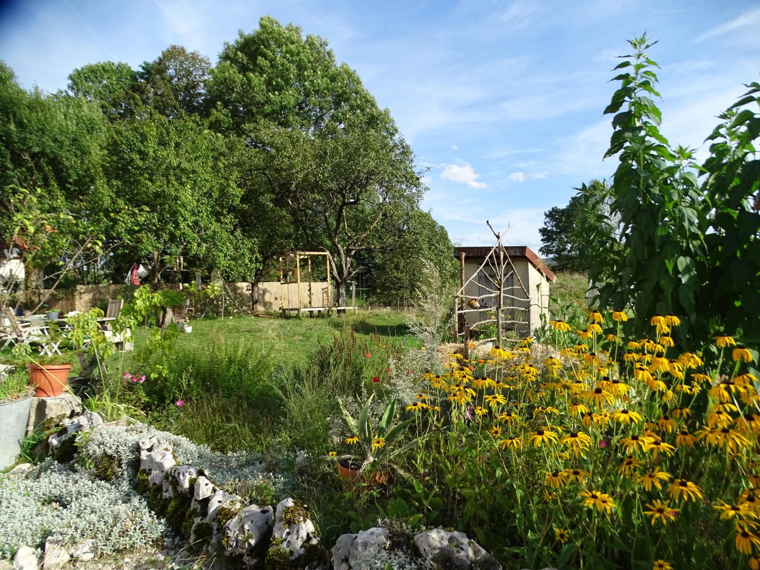 Photo 21
