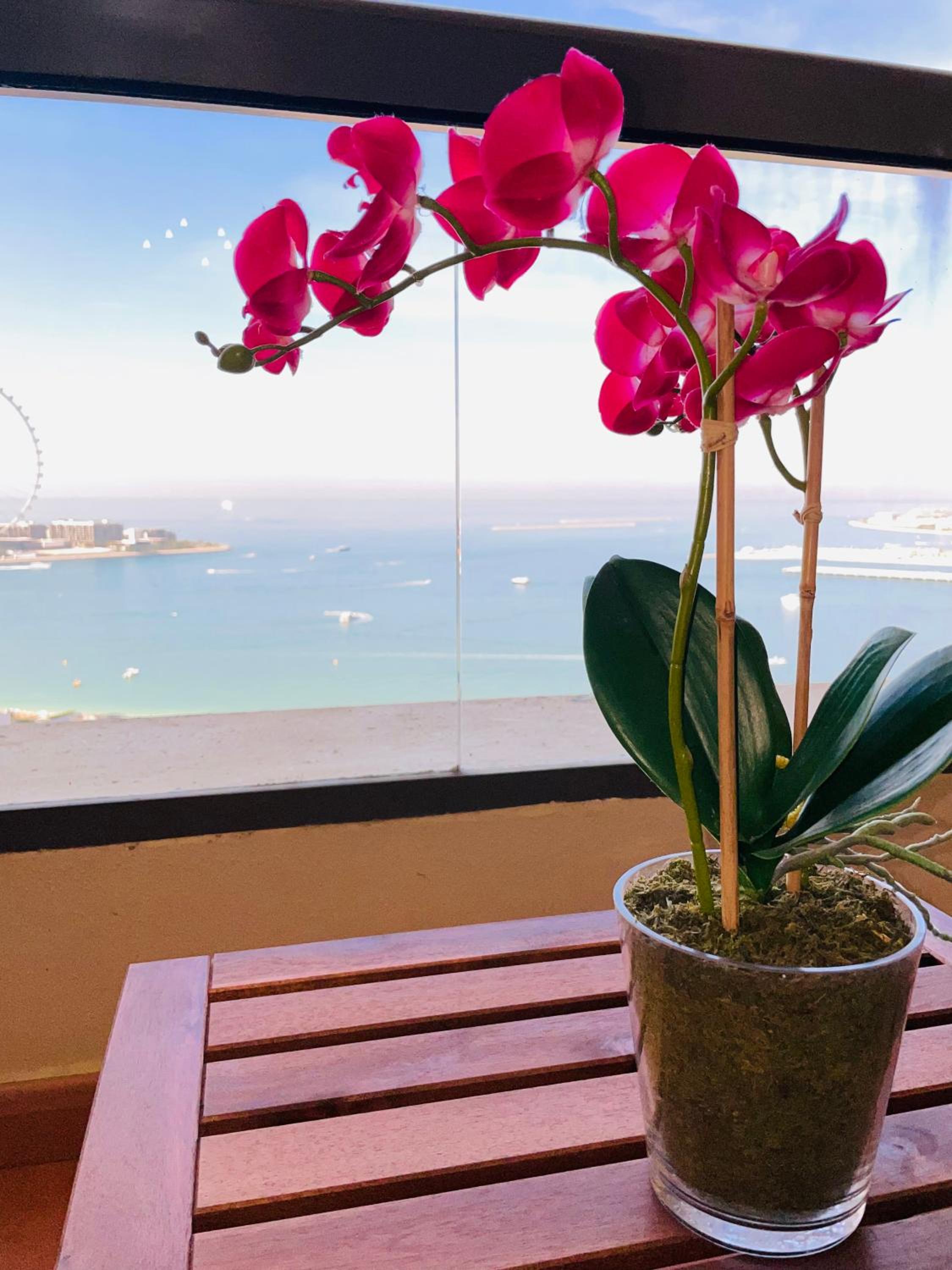 Luxury Casa - Supreme Sea View Apartment JBR Beach 1BR