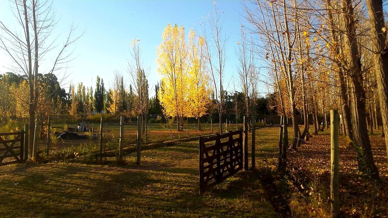 Casa de Campo Don Luis