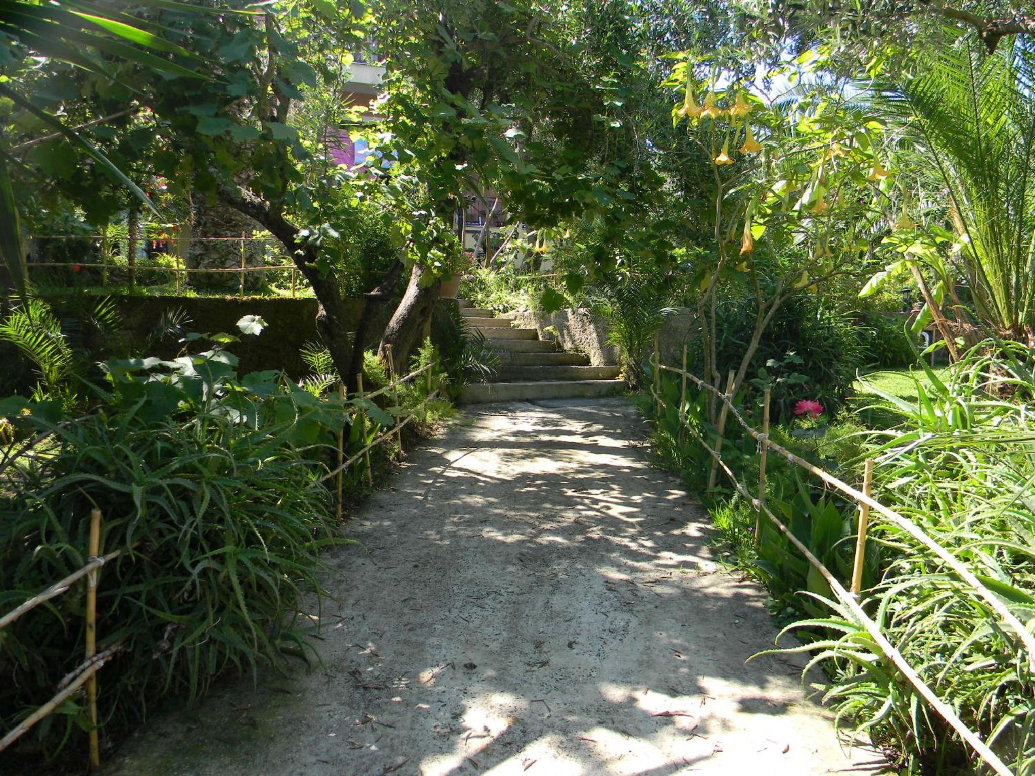 Photo 46