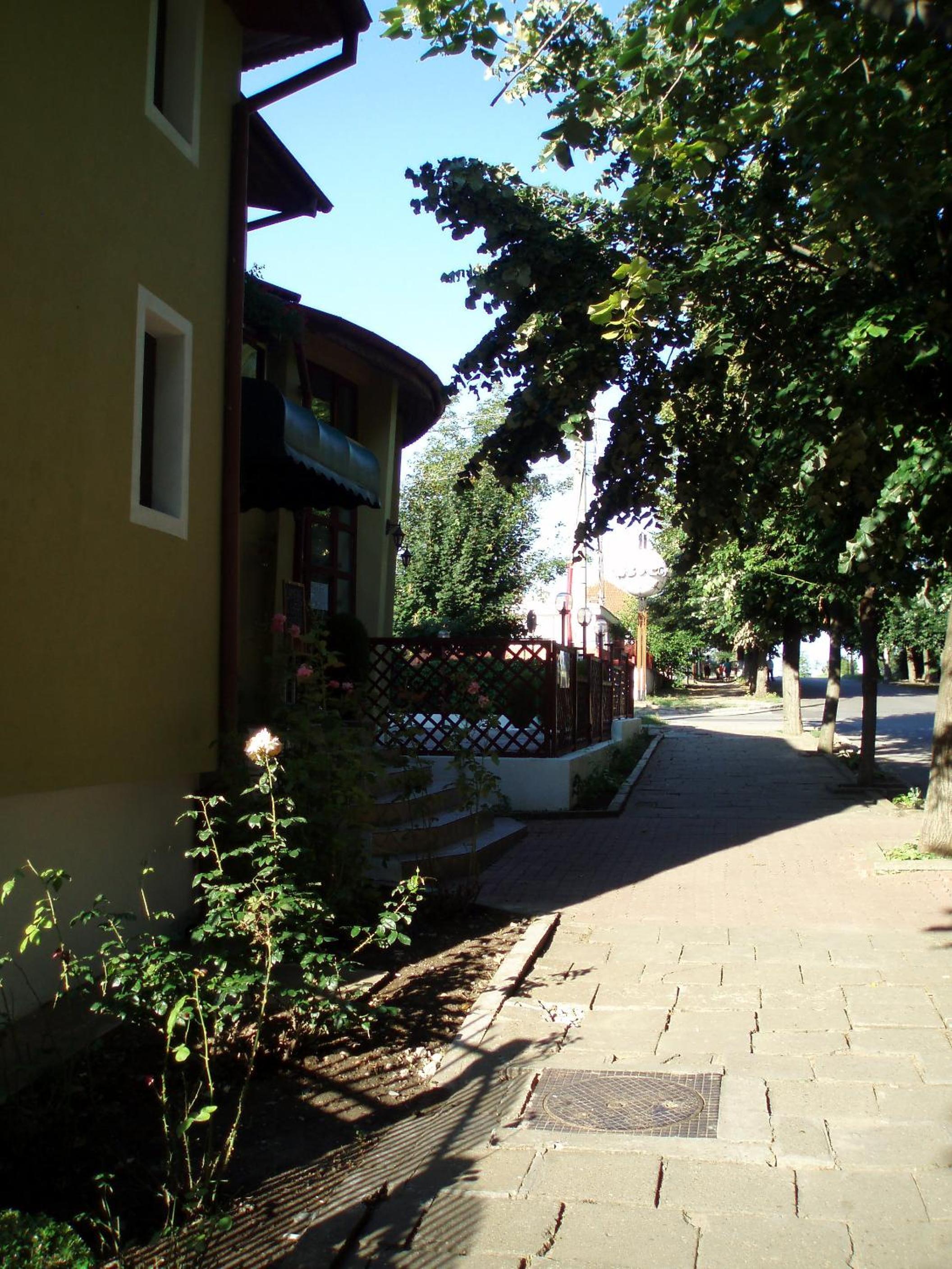 Photo 67